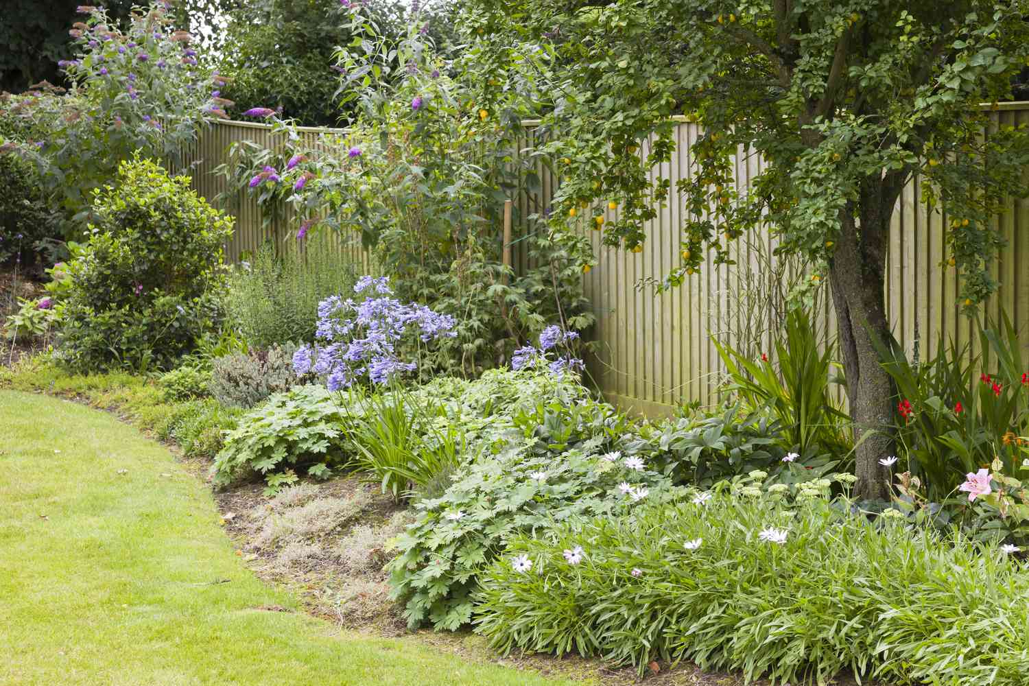 15 Simple Fence Line Landscaping Ideas That Won't Break the Bank