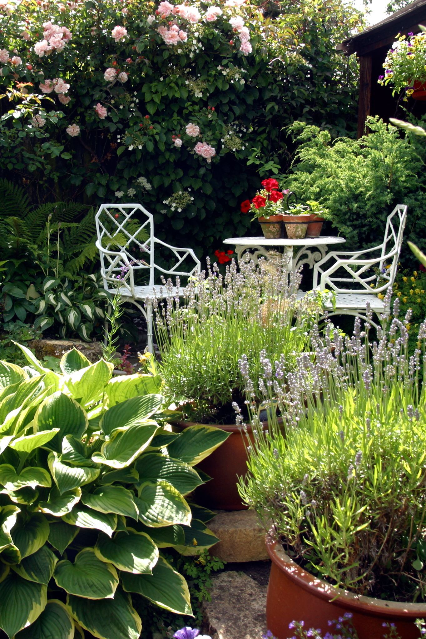 17 Small Garden Ideas for Your Tiny Lawn | Architectural Digest