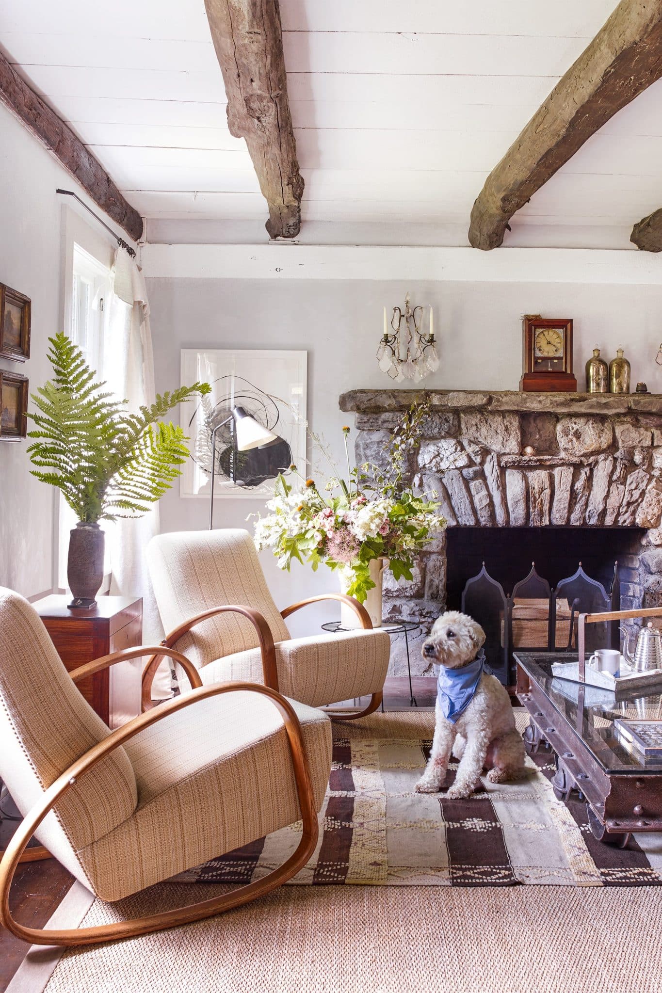 18 Cozy Living Room Decor Ideas and Designer Examples