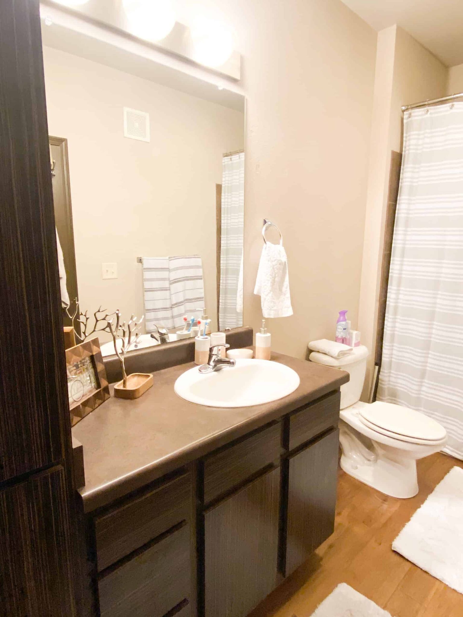 21 College Apartment Bathroom Ideas That Prove You Can Make Bathrooms Look Good - By Sophia Lee