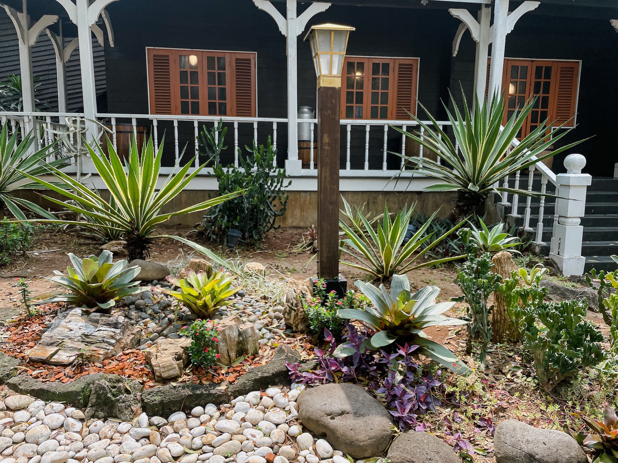 21 Inspiring Rock Garden Ideas: Low-Maintenance, Modern, and More | Almanac.com
