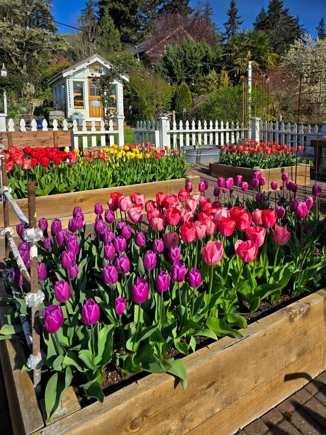 24 Flower Garden Ideas And Layouts For 2026 That Pro Decorators Use In Their Own Yards