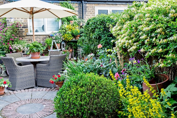 30 Small Garden Design Ideas | BBC Gardeners World Magazine