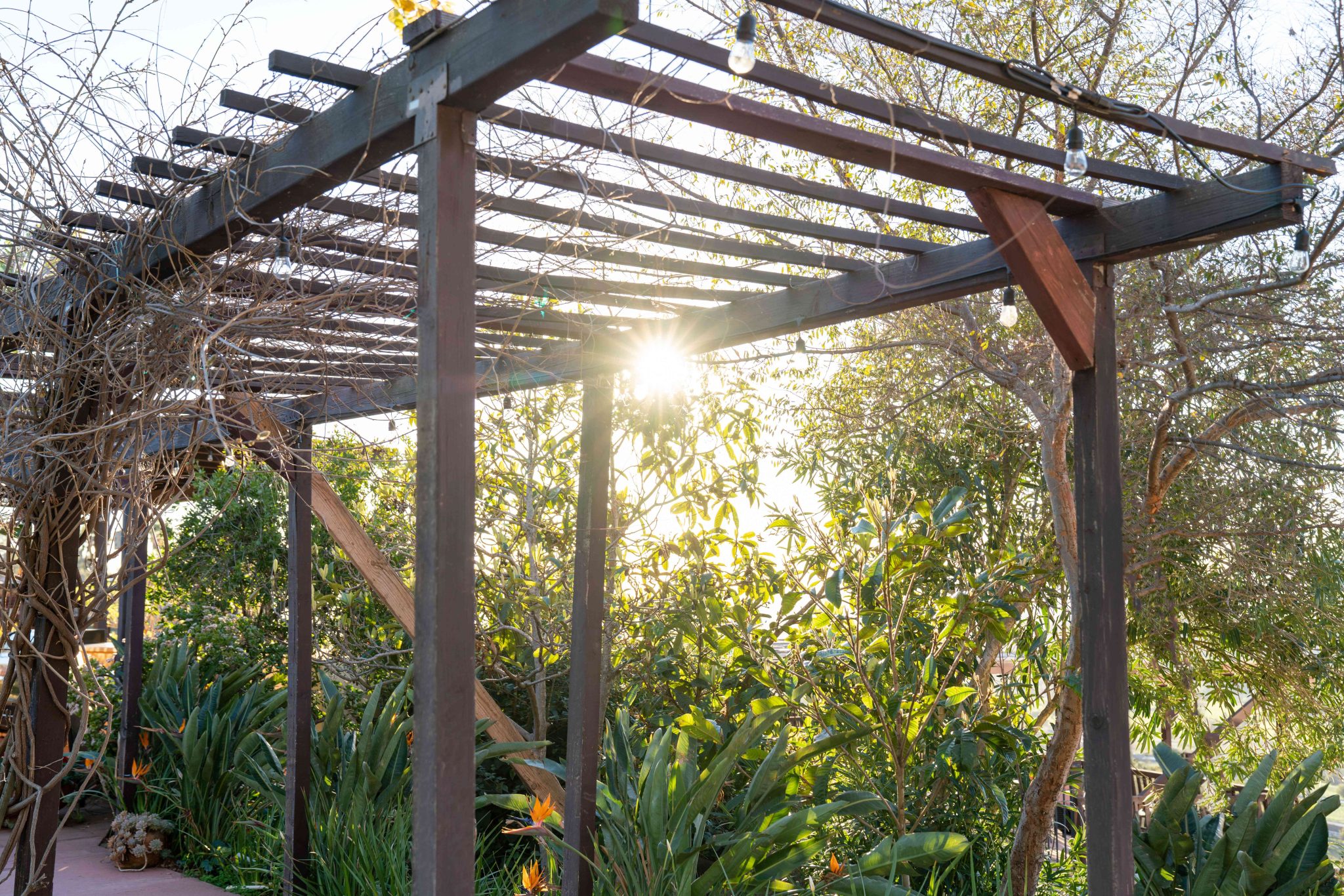 31 Backyard Pergola Ideas That Add Style and Shade