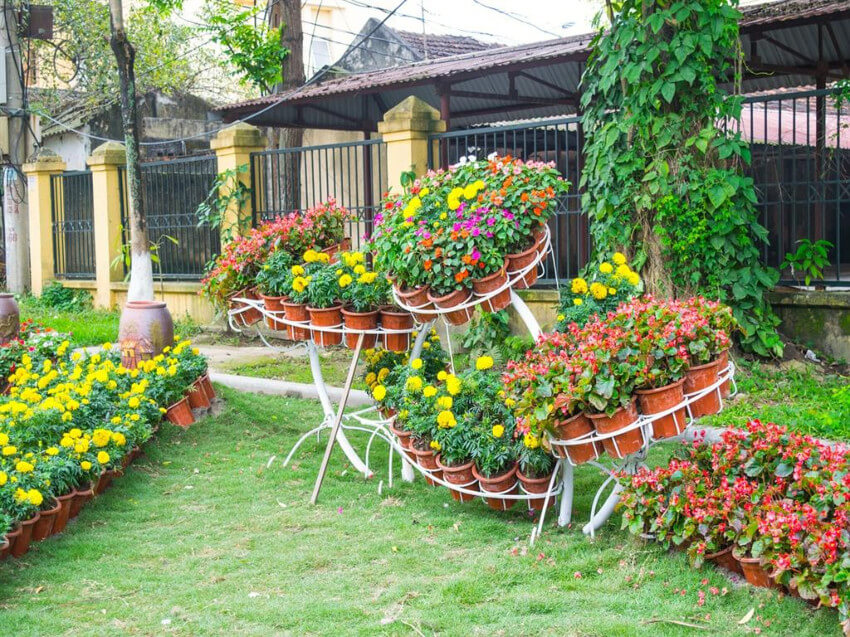 7 Flower Garden Ideas to Update Your Landscape - homeyou