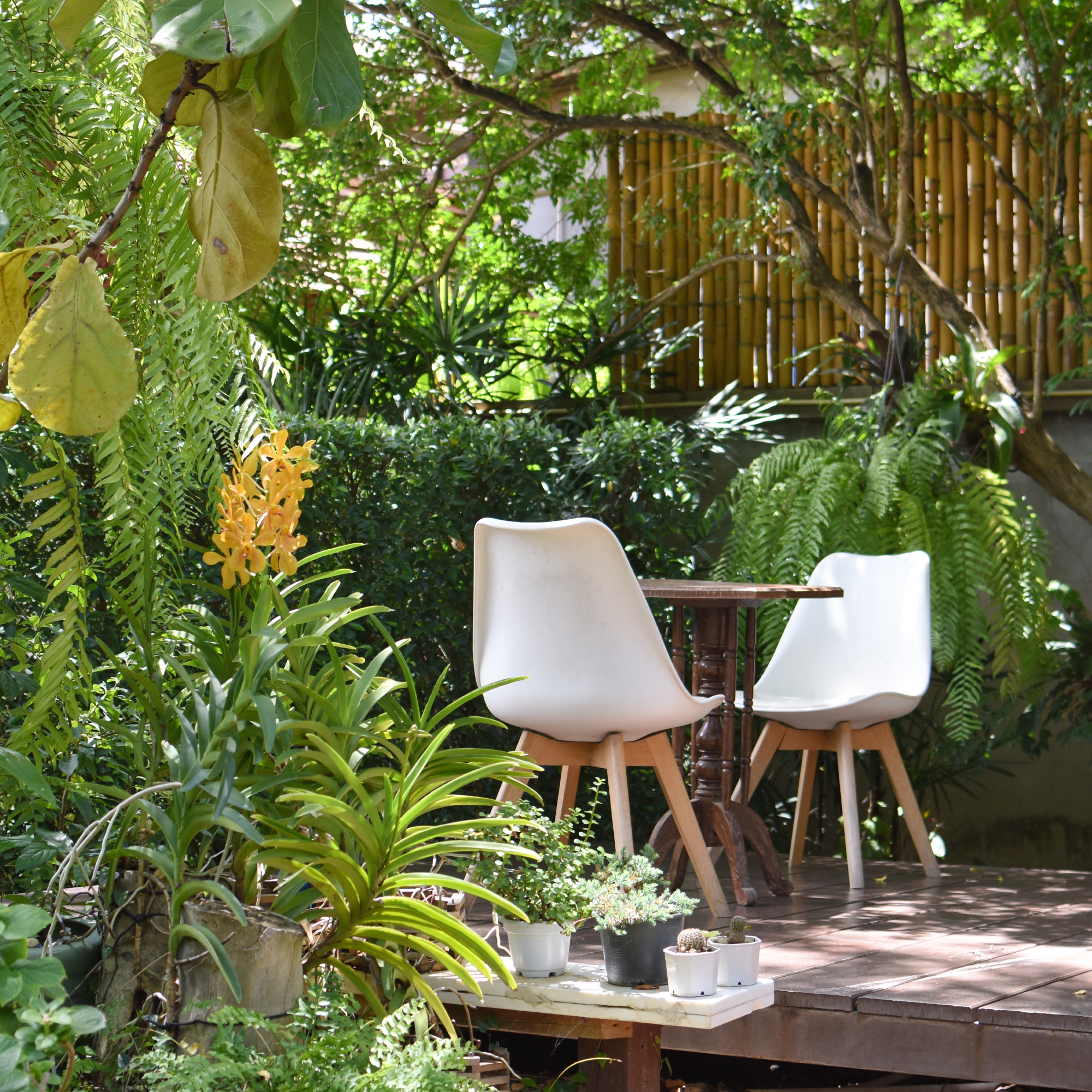 8 Clever DIY Ideas to Make a Small Backyard Feel Bigger | Gardening Know How