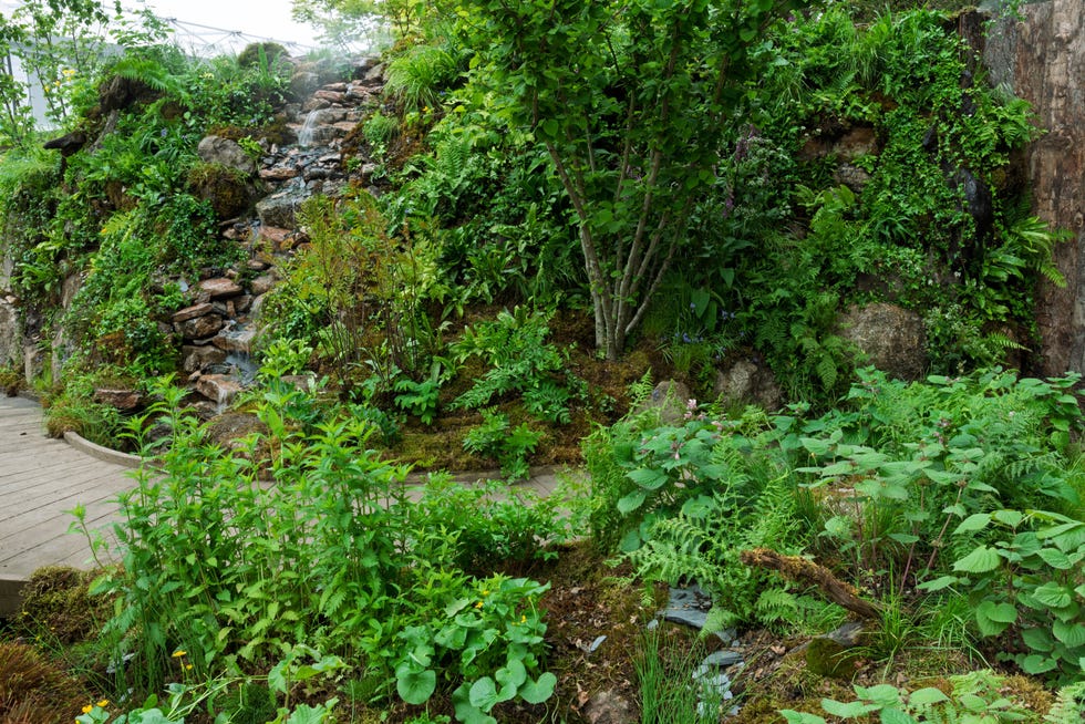 9 Garden Trends That Will Dominate in 2026, According to Experts