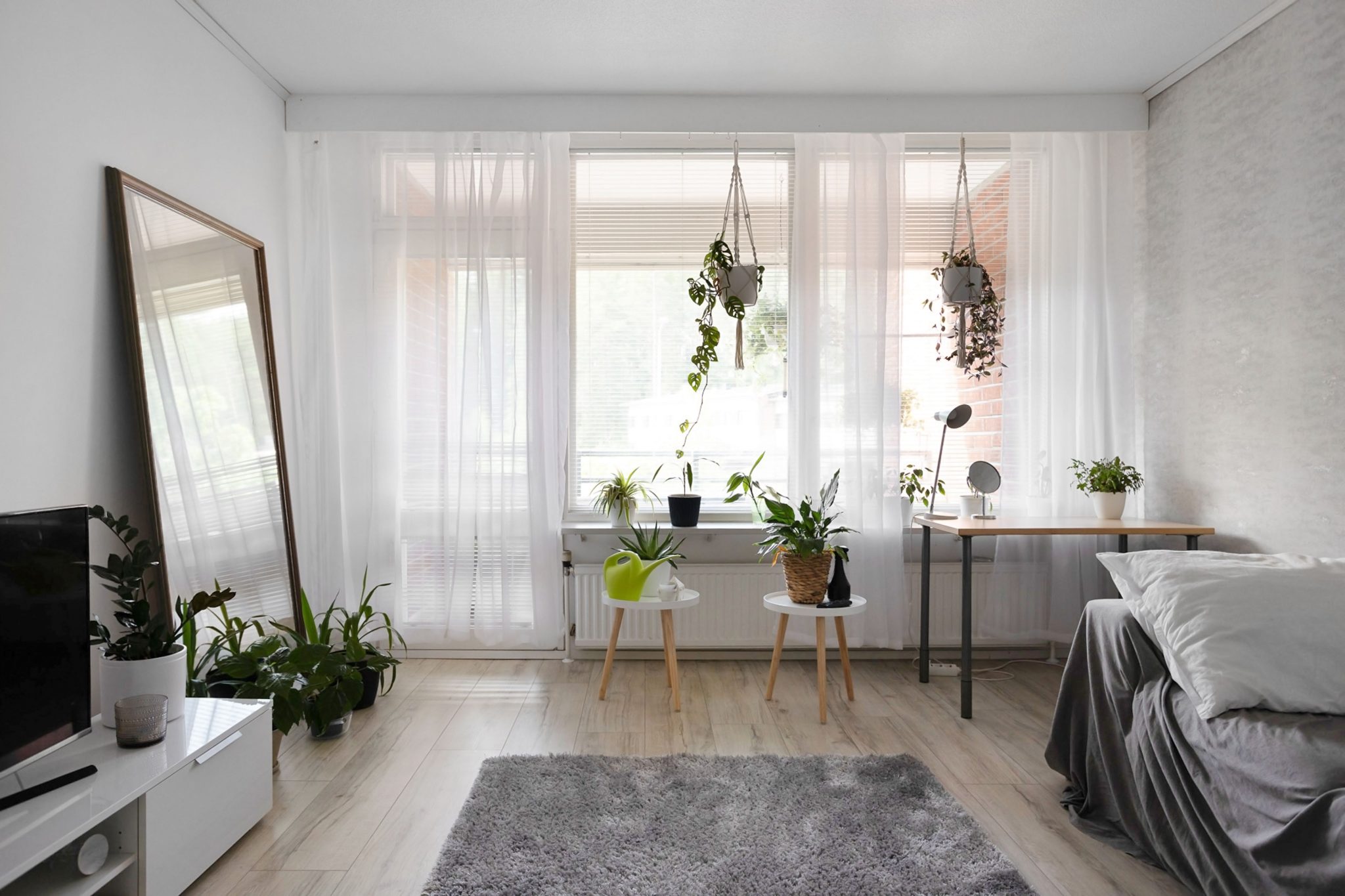 A bright, minimalist apartment interior featuring stylish decor and lush houseplants.