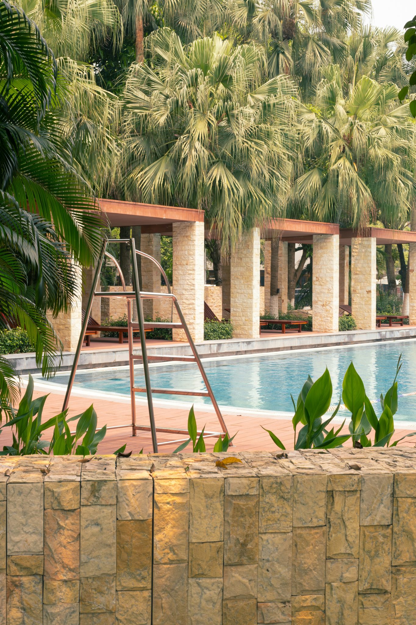 a large swimming pool surrounded by palm trees
