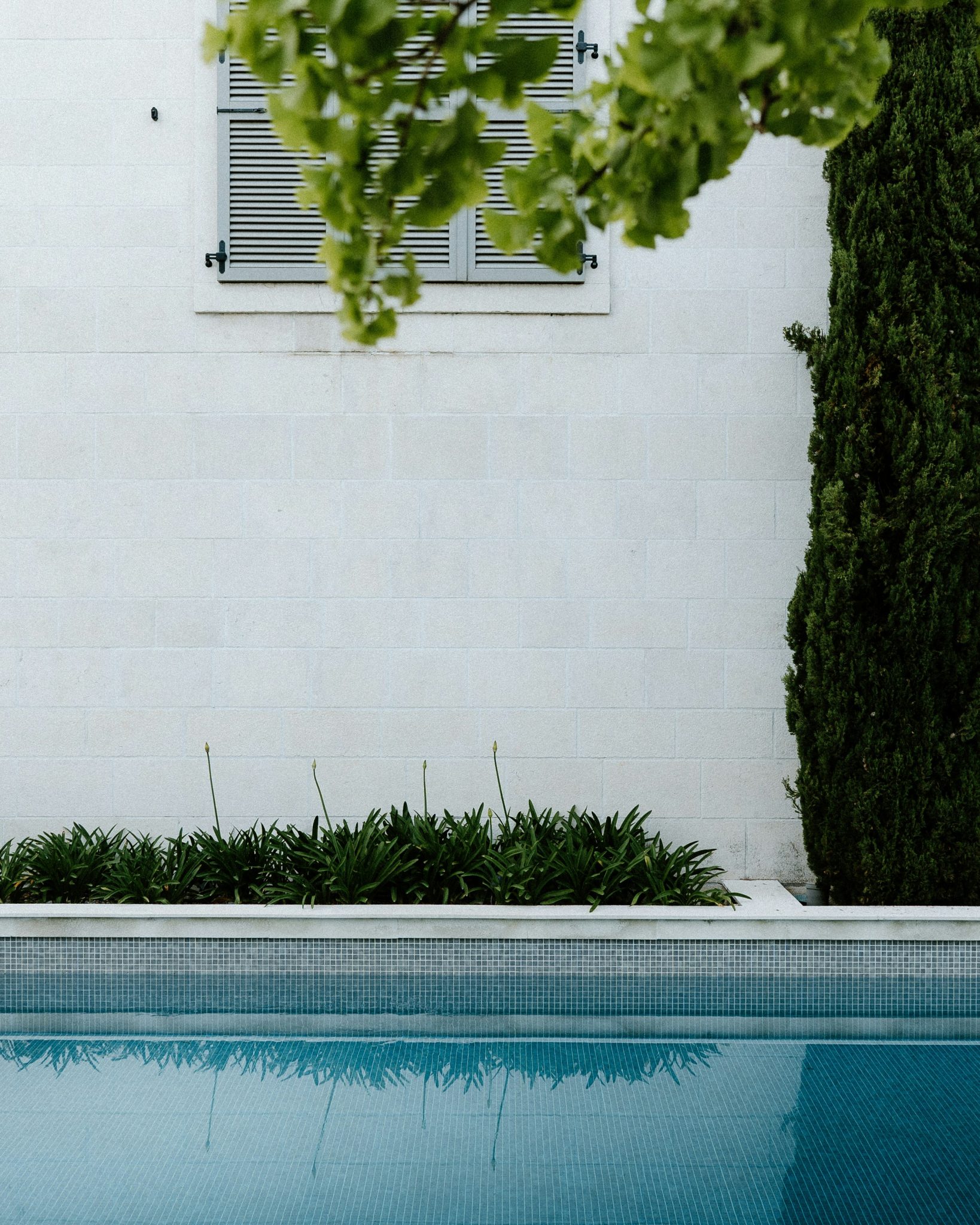 A man standing next to a swimming pool