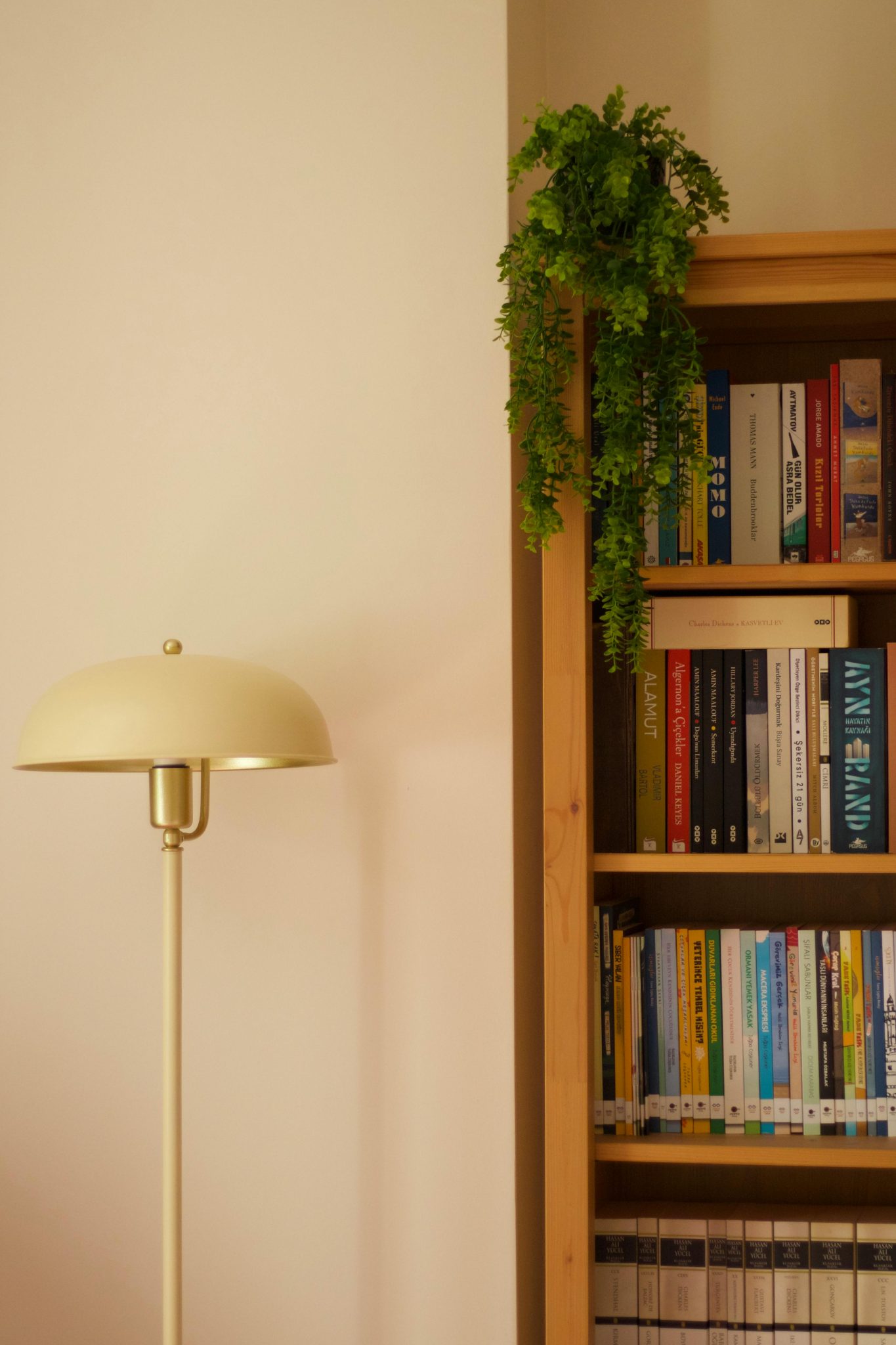A minimalist corner featuring a bookshelf with books and a simple modern lamp, enhanced by a potted plant.