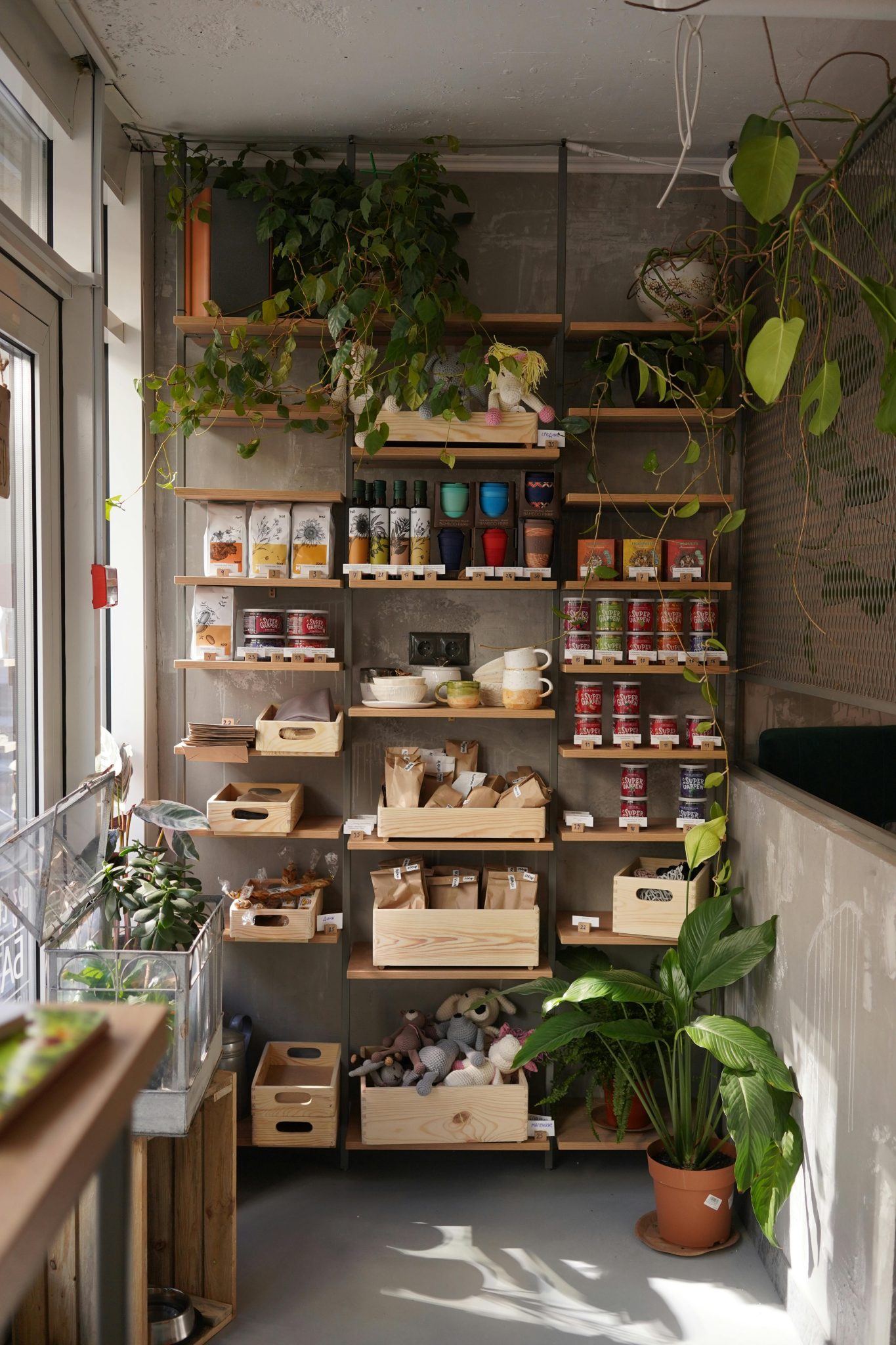 A modern kitchen shelving unit adorned with plants and organized food items, offering a cozy home vibe.
