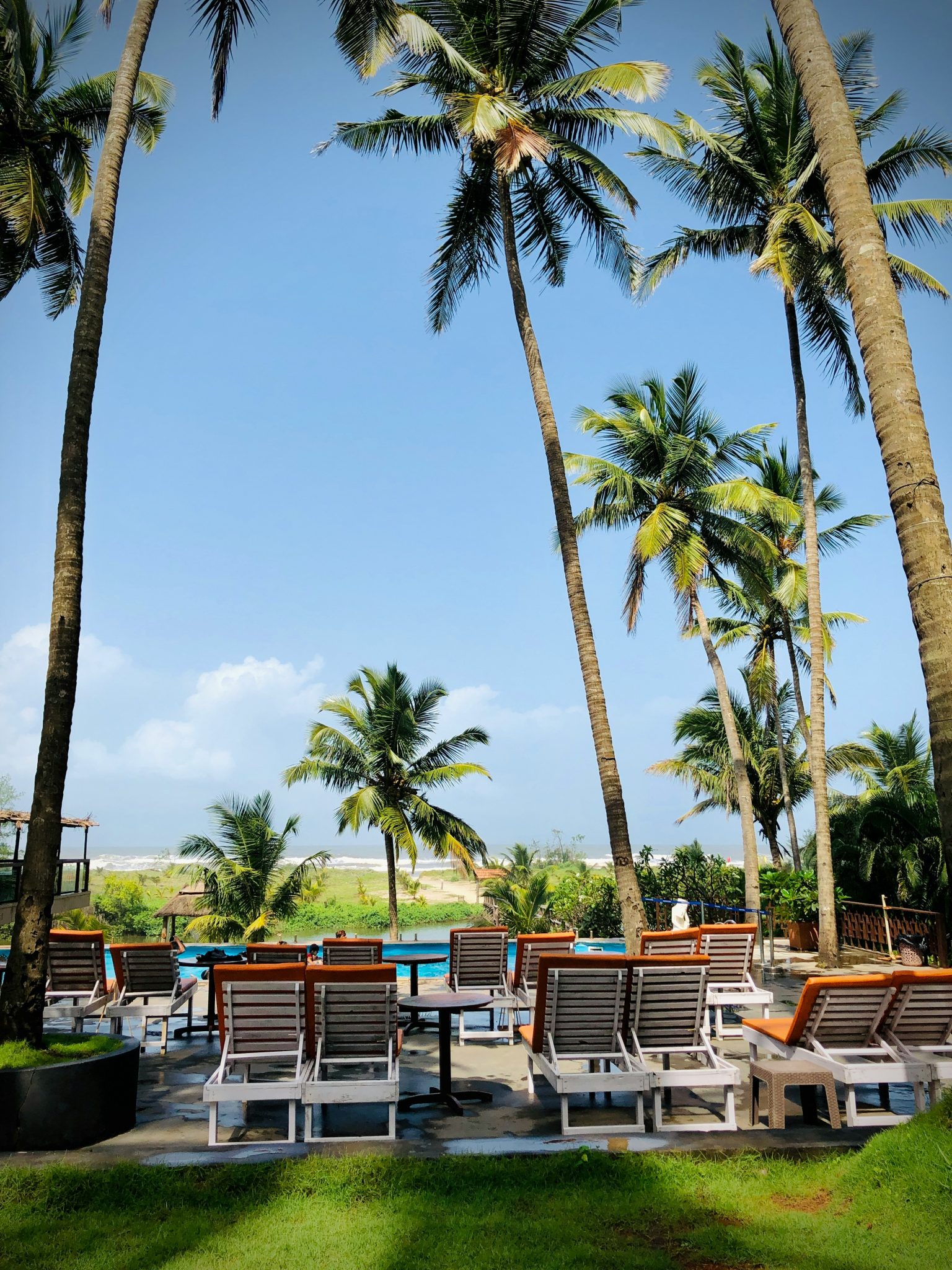 a row of lounge chairs sitting under palm trees