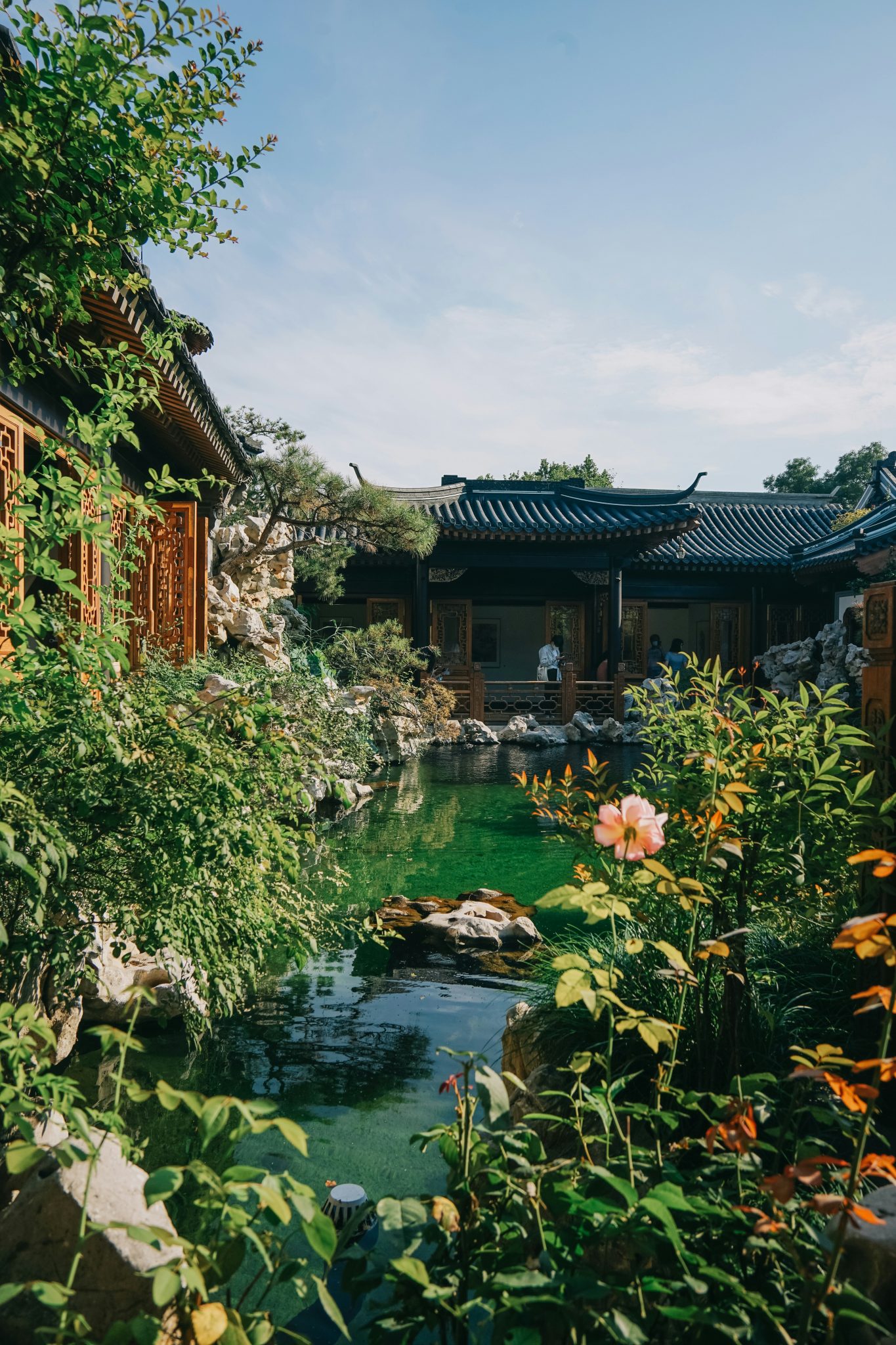 a small pond surrounded by trees and flowers
