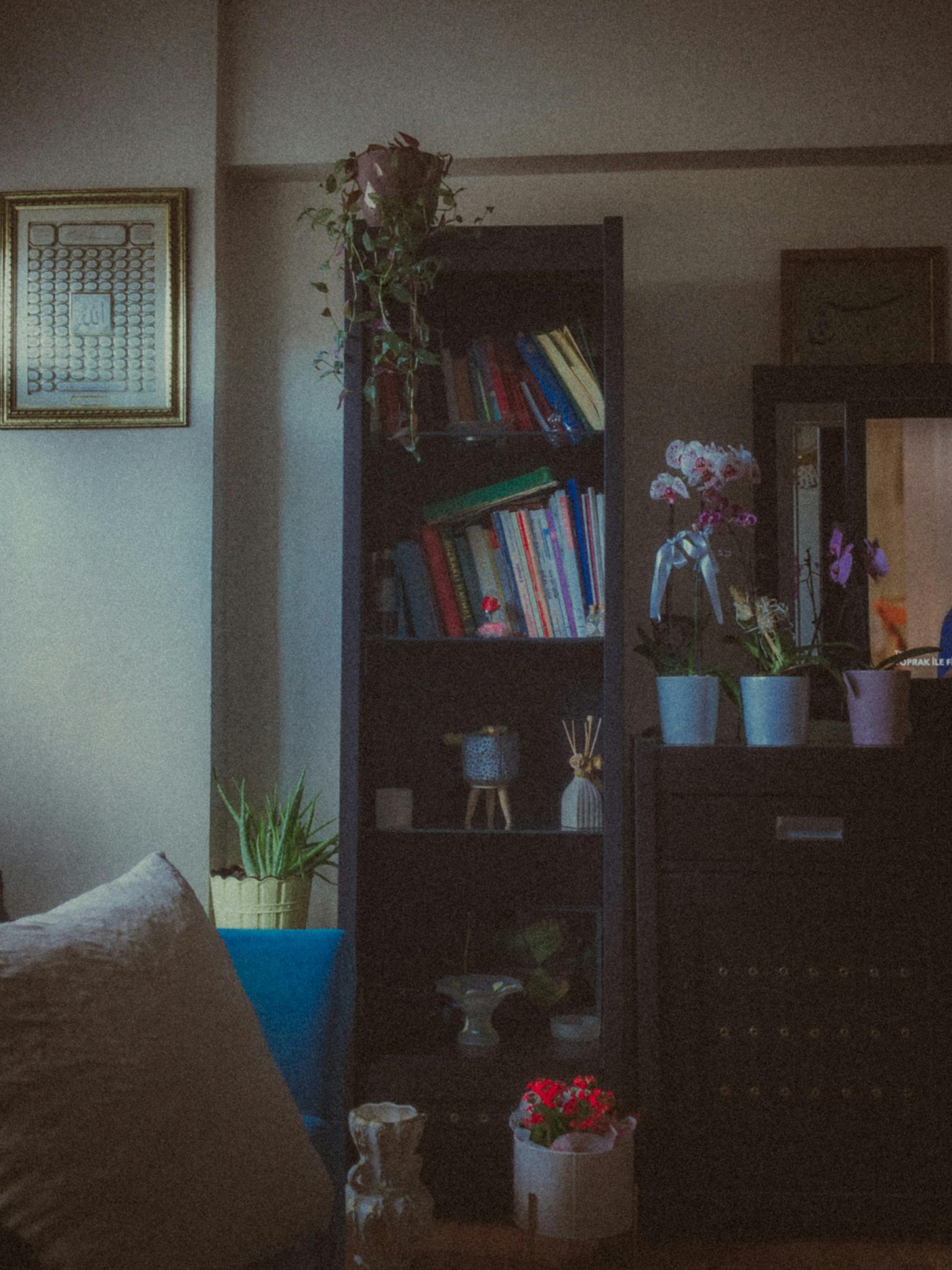 A warm and inviting room with a bookshelf, plants, decor items, and soft lighting.