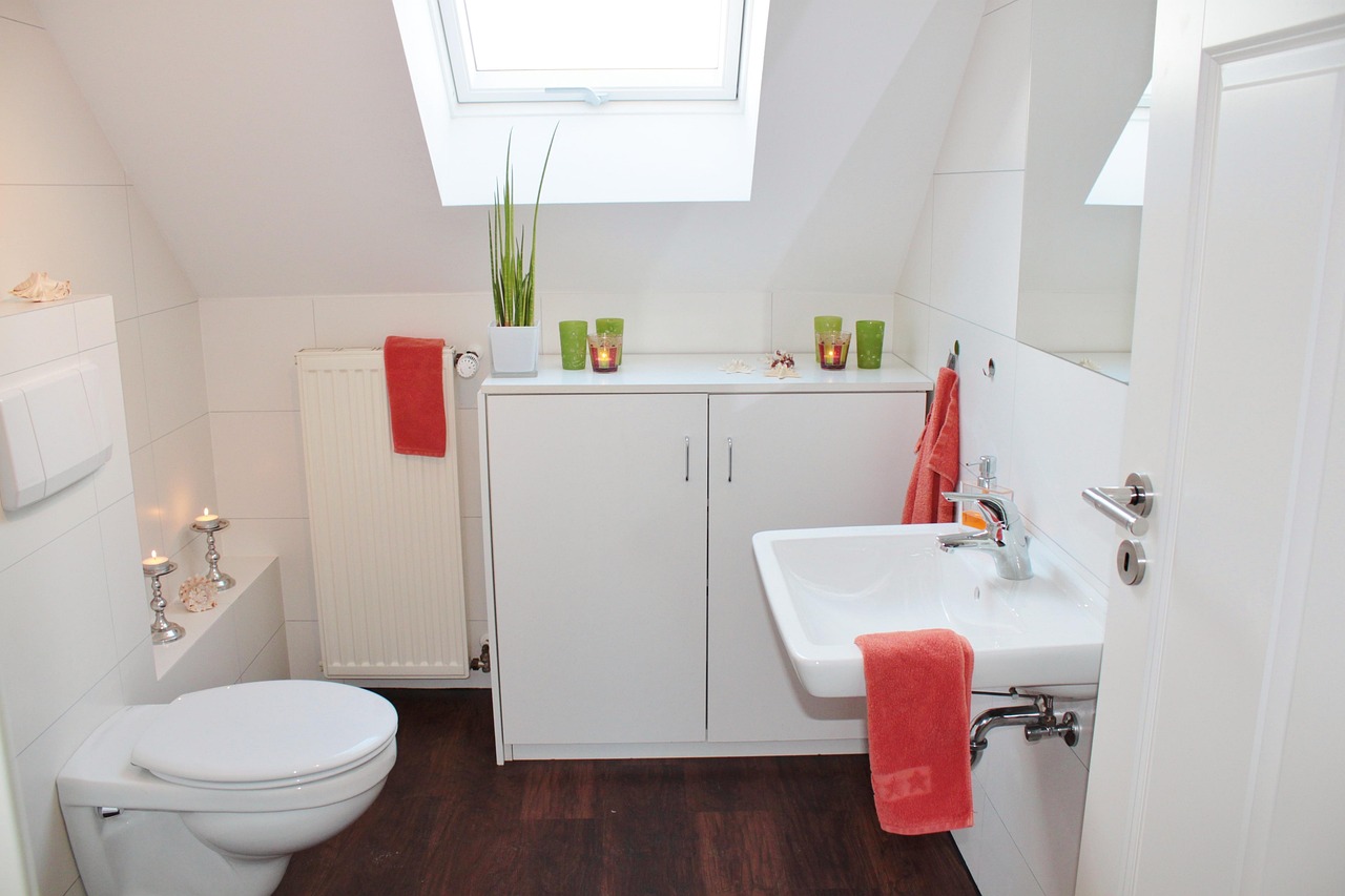 bathroom, bath, toilet, bathroom sink, plumbing, apartment, architecture, setup, set up, deco, tiles, wc, space, interior design, skylight, bright, bathroom, bathroom, bathroom, bathroom, bathroom, to