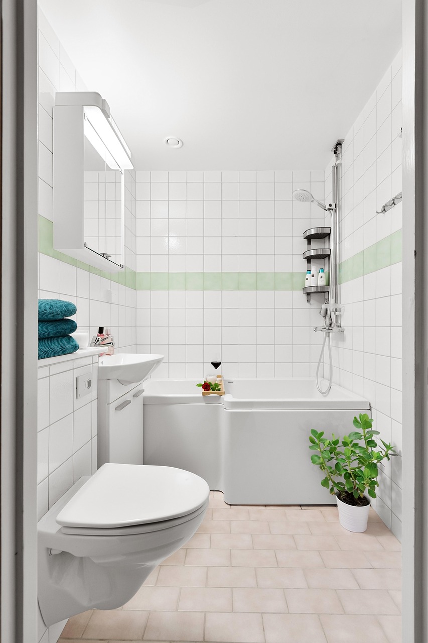 bathroom, room, interior, design, luxury, shower, bathtub, toilet, modern, bathroom, bathroom, bathroom, bathroom, bathroom