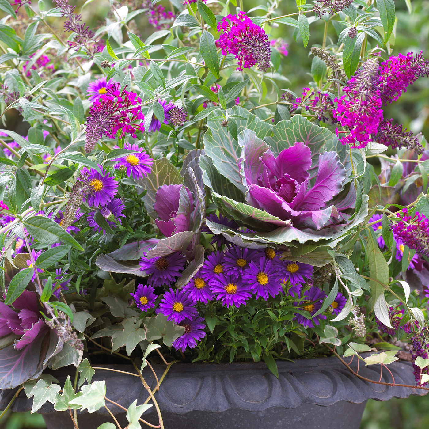Butterflies Love this Fall Container! | Garden Gate