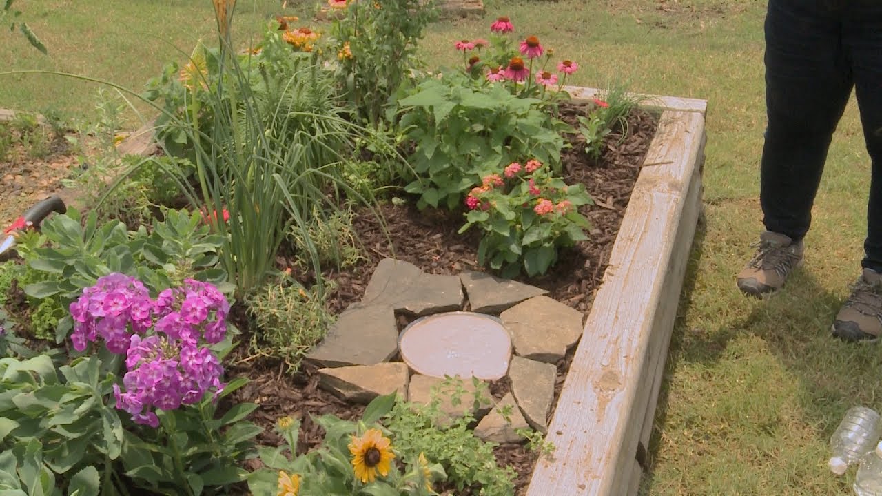 Butterfly Garden: How to Design One