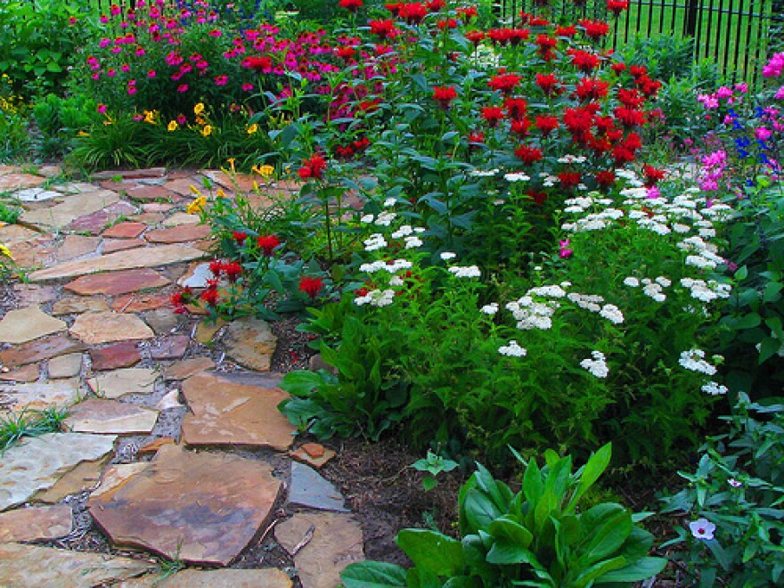 Butterfly Gardens | Marfa Public Radio, radio for a wide range.