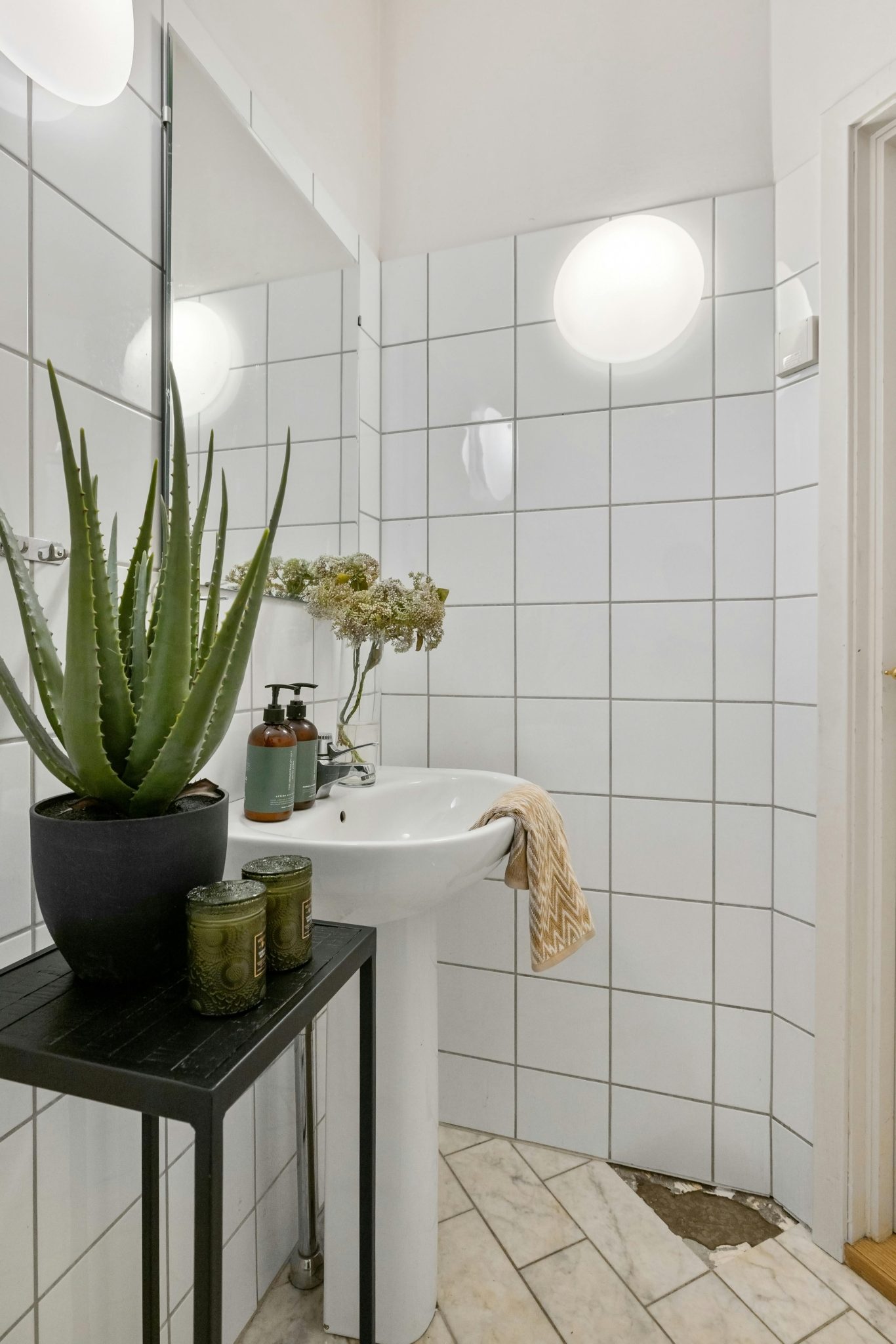 Contemporary bathroom featuring a minimalist sink and aloe plant for modern style.