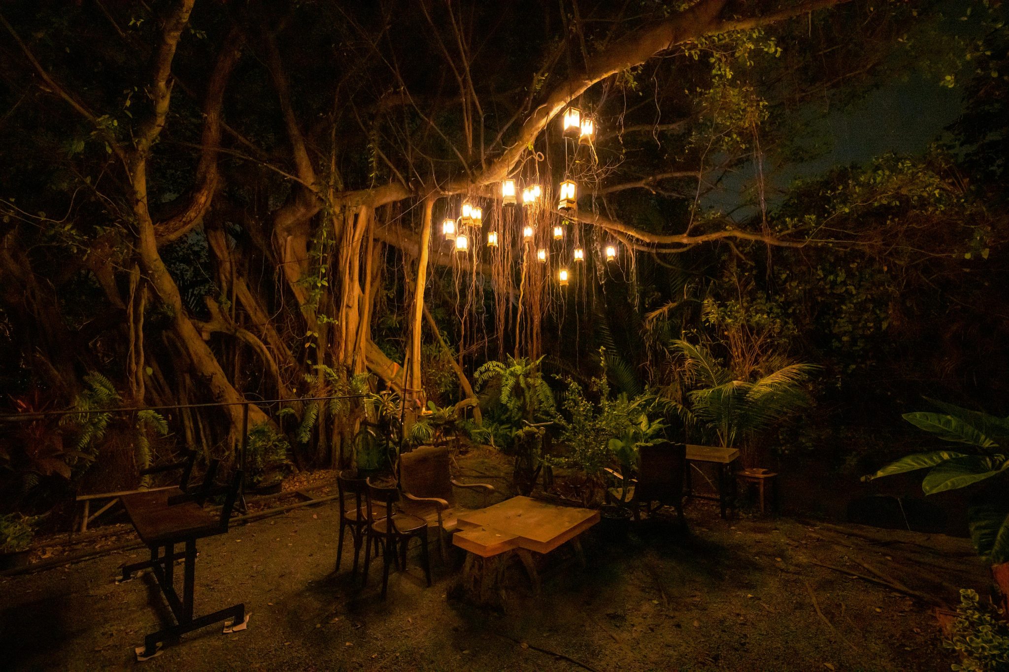 Cozy nighttime garden scene with ambient hanging lights and rustic furniture under tree canopy.