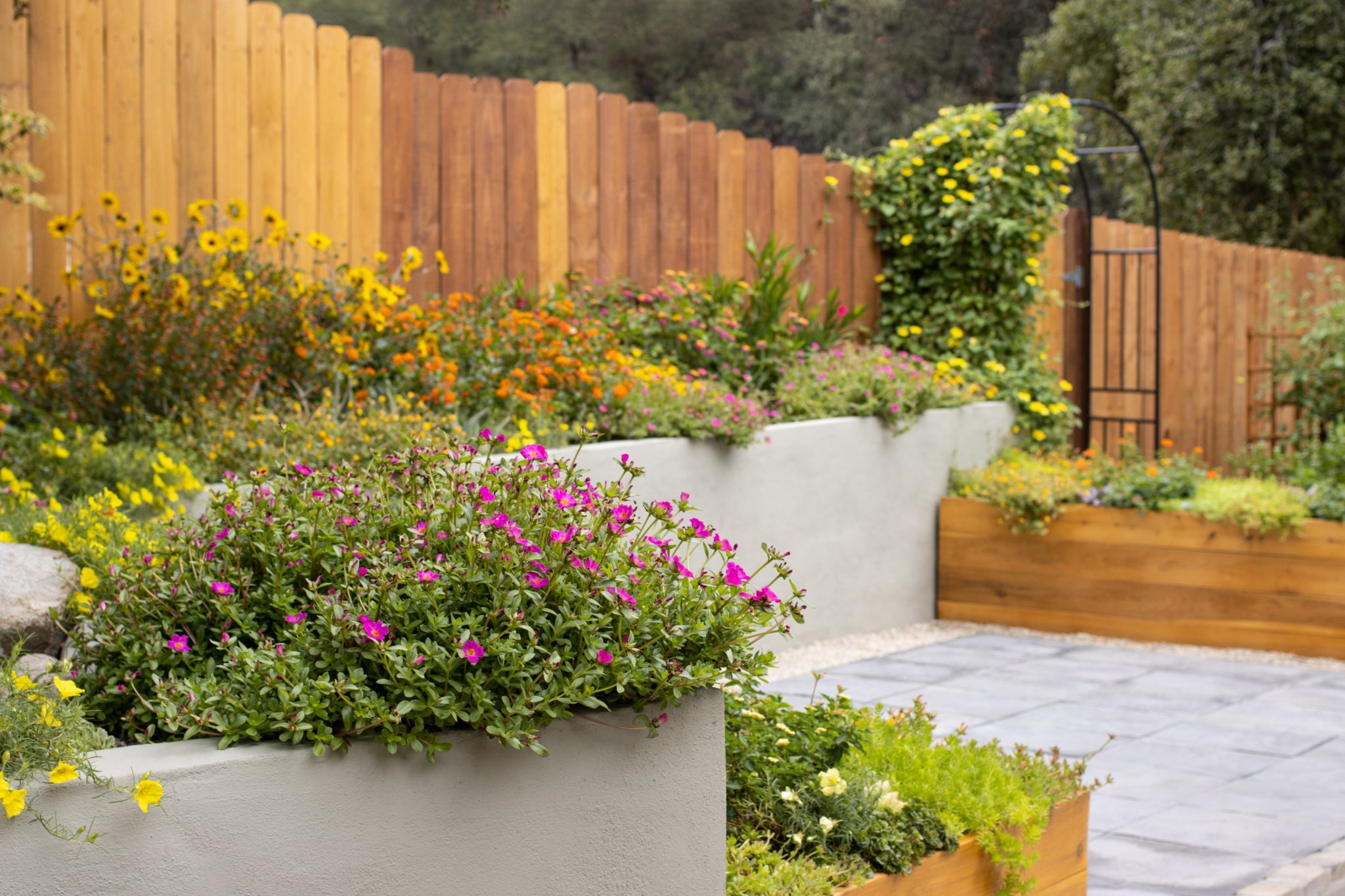 Drought-Resistant, Low-Water Garden Ideas