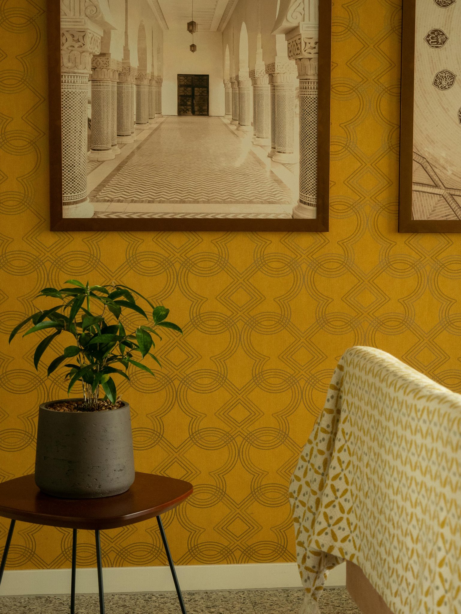 Elegant room featuring a patterned yellow wall, modern plant decor, and framed corridor artwork.