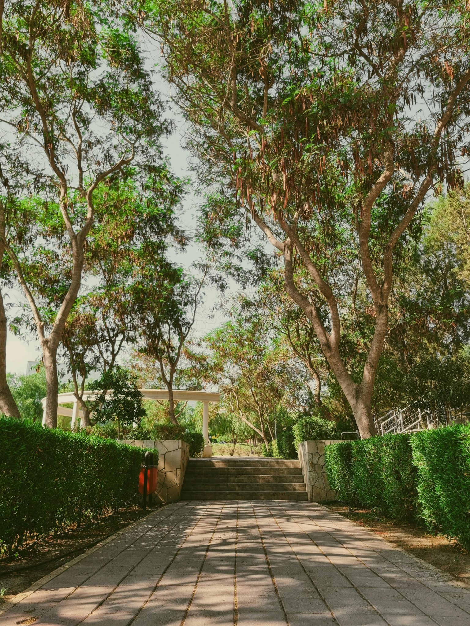 Enchanting garden pathway surrounded by lush greenery and elegant trees.