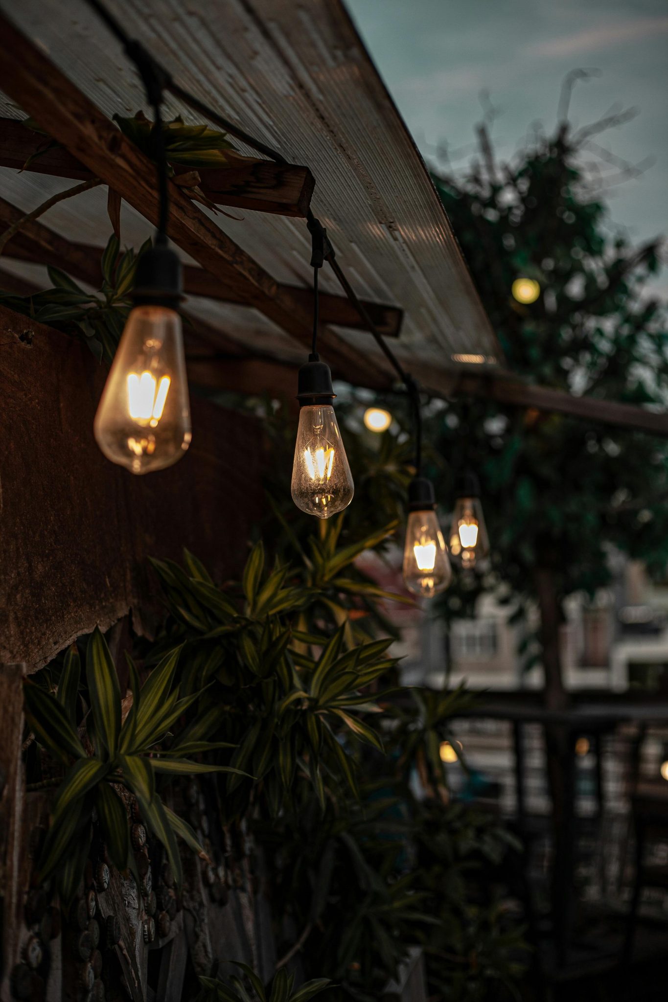 Glowing filament lightbulbs hanging outdoors at dusk, creating a warm, vintage ambiance.