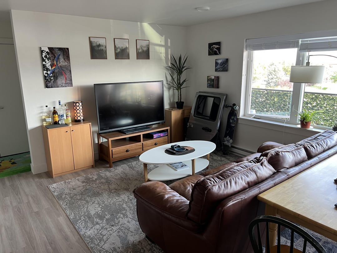 How can I make my college apartment living room more cozy? : r/malelivingspace