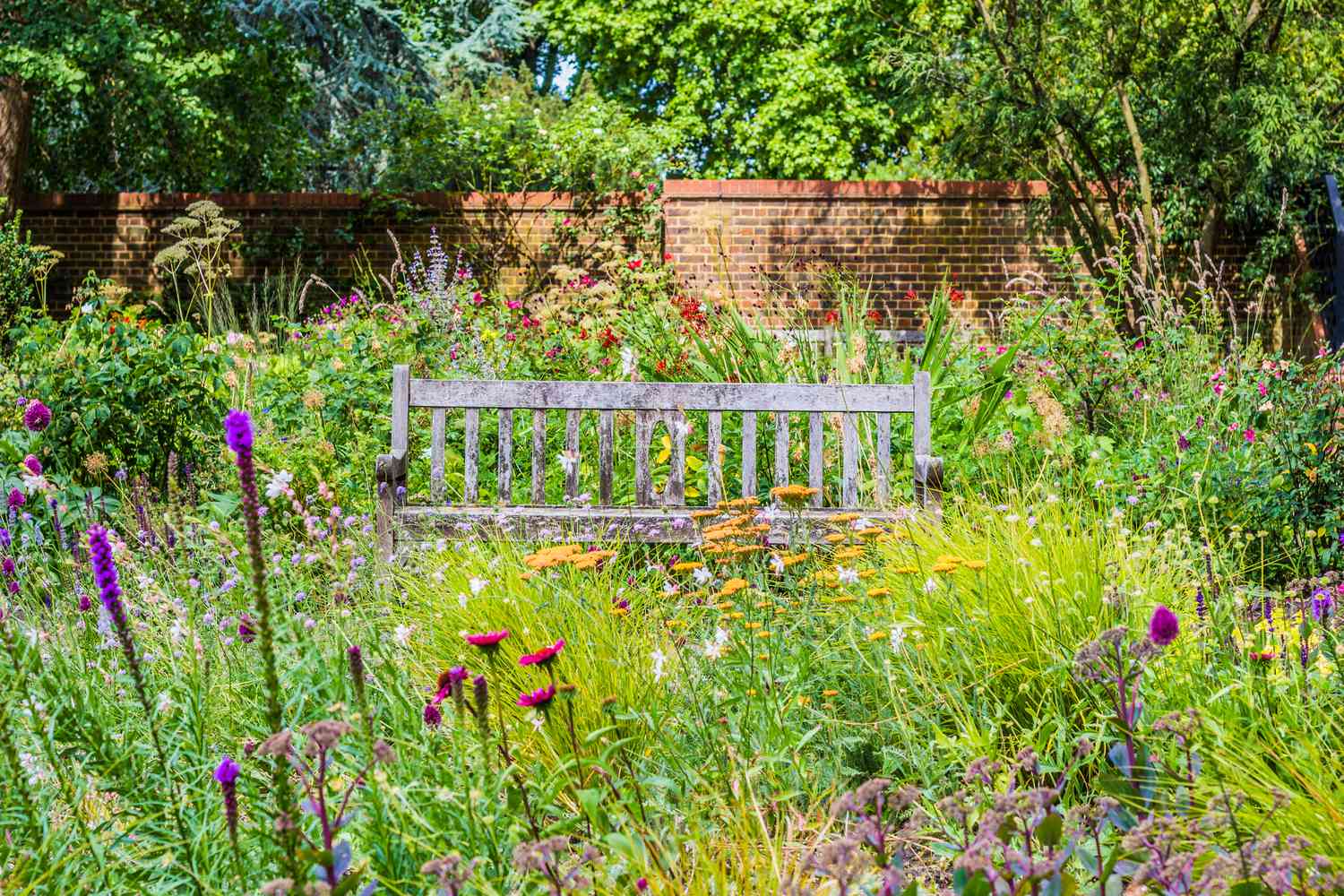 How to Create a Butterfly Garden