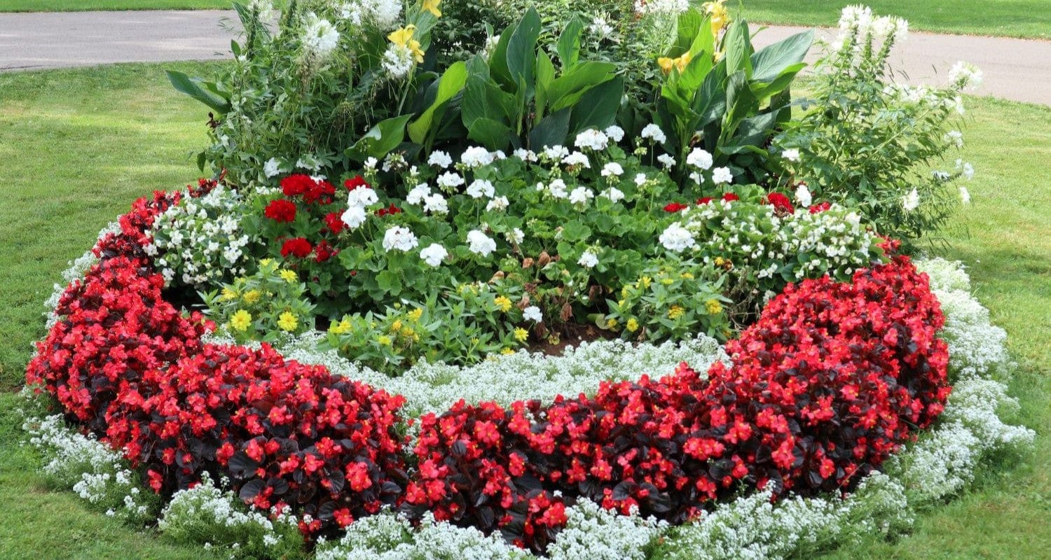 How To Design a Flower Bed – Roots Plants