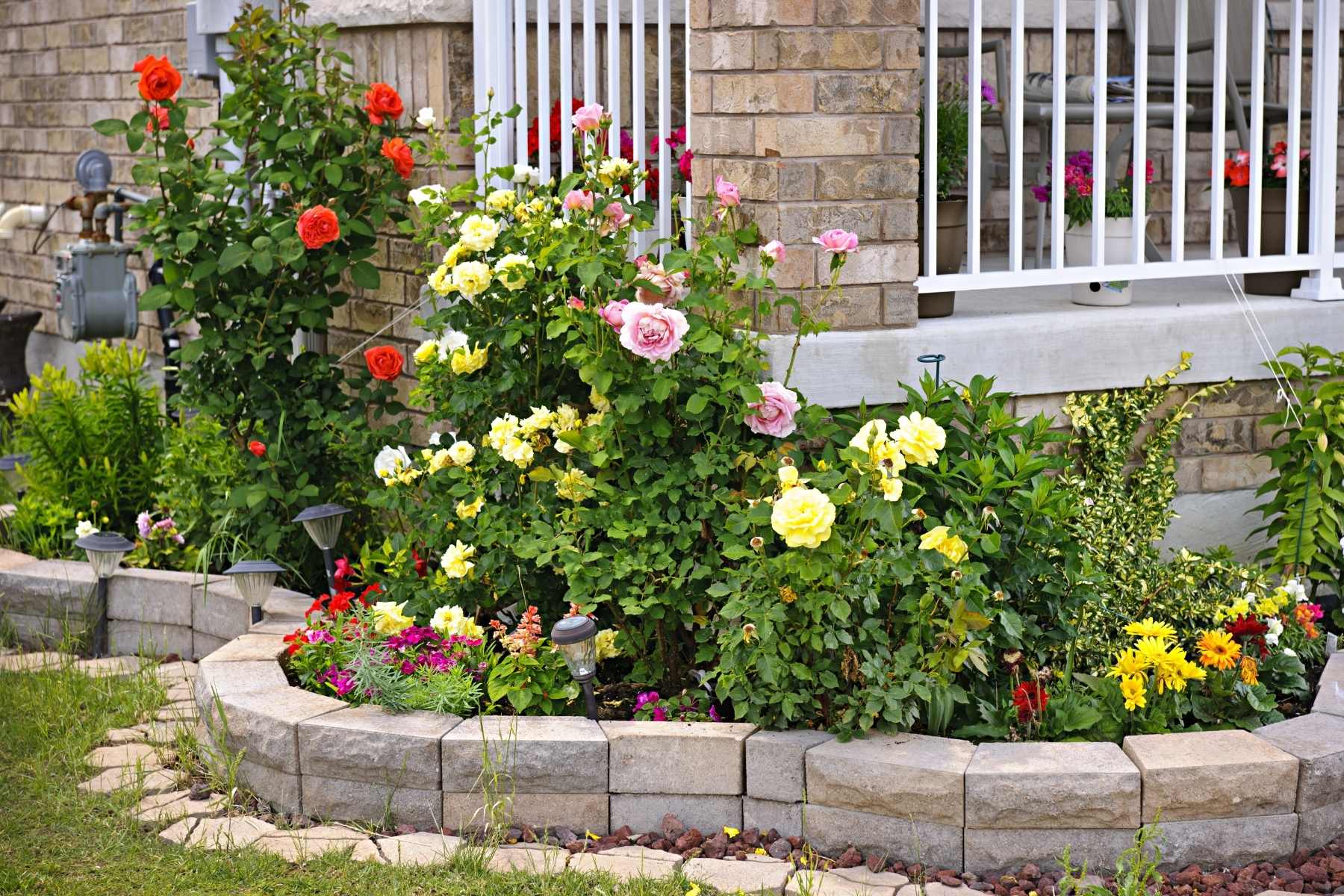 How to Design a Stunning Flower Garden from Scratch – Lost Coast Plant Therapy