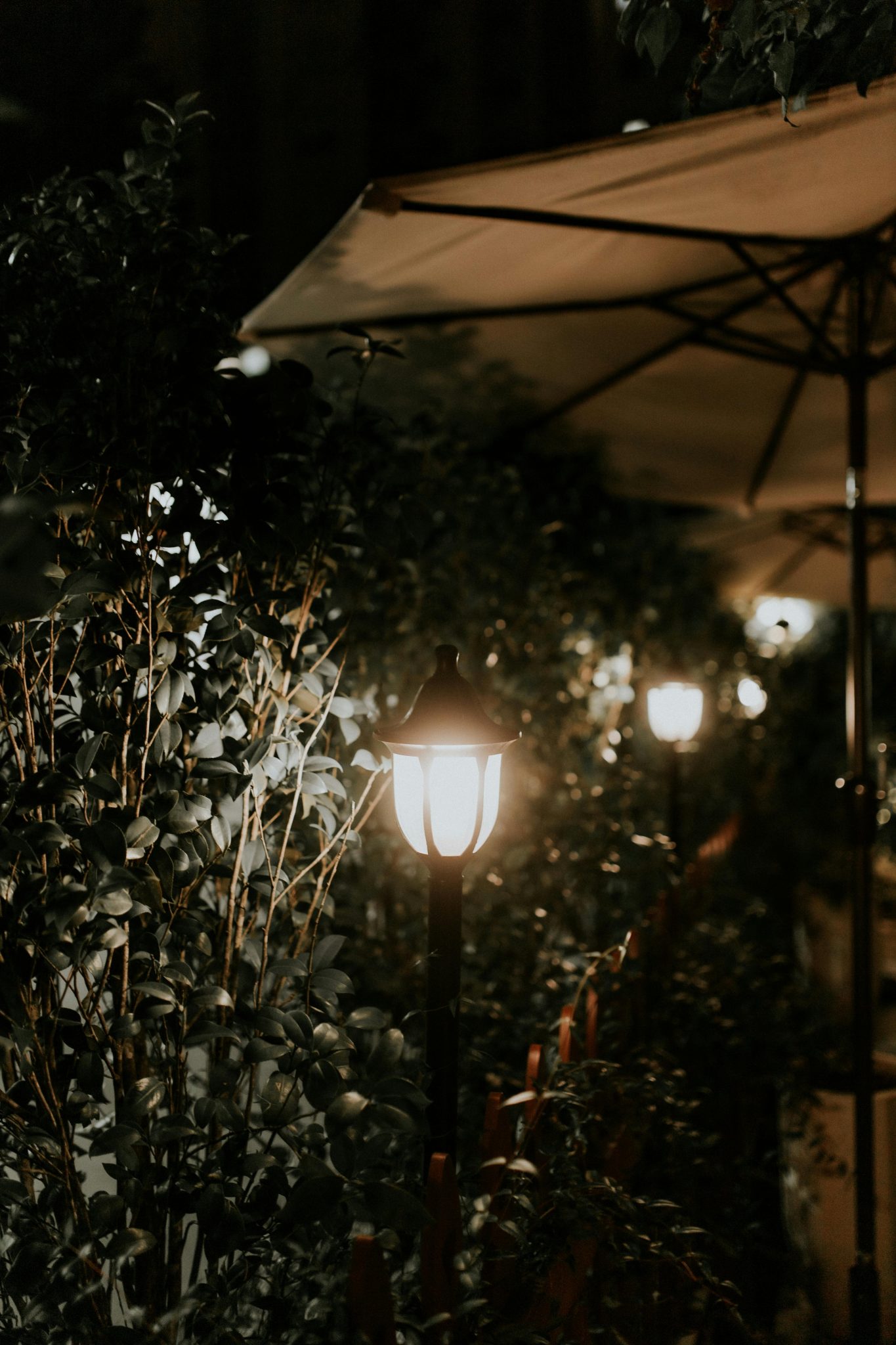 Illuminated garden path with lanterns, umbrellas, and shrubs creating a tranquil nighttime atmosphere.