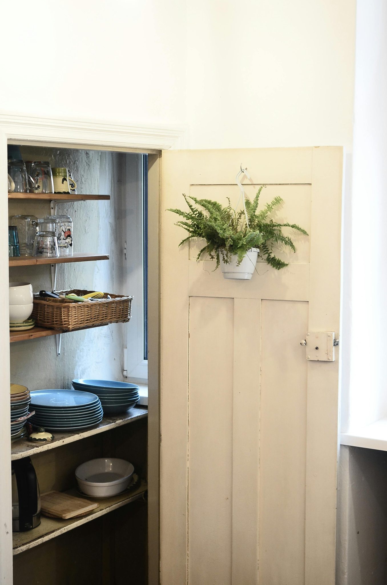 Interior of room with creative cupboard behind wooden door with plates and jars on shelves