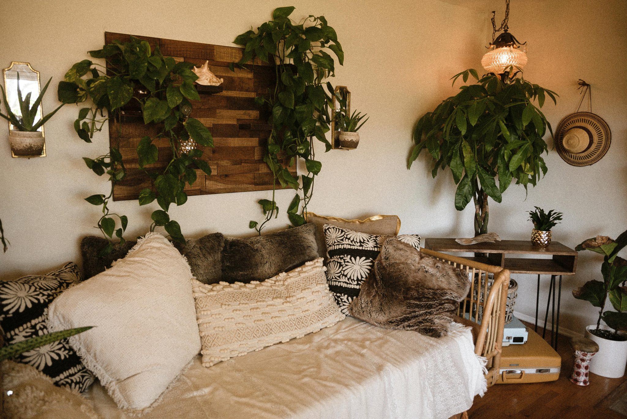 Inviting living room featuring rustic decor, lush indoor plants, and comfortable seating.