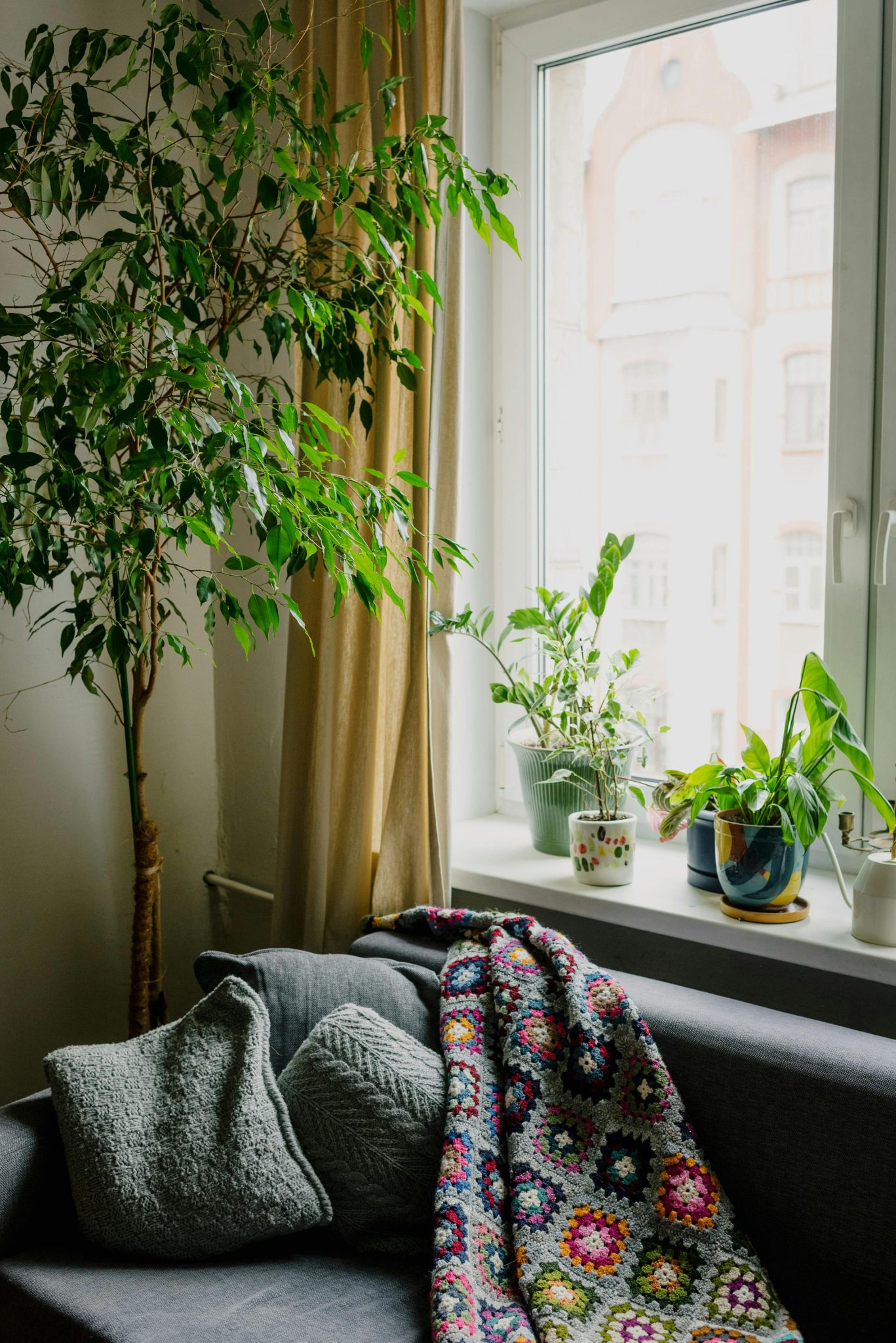 Inviting living room space with plants and a cozy sofa by the window.
