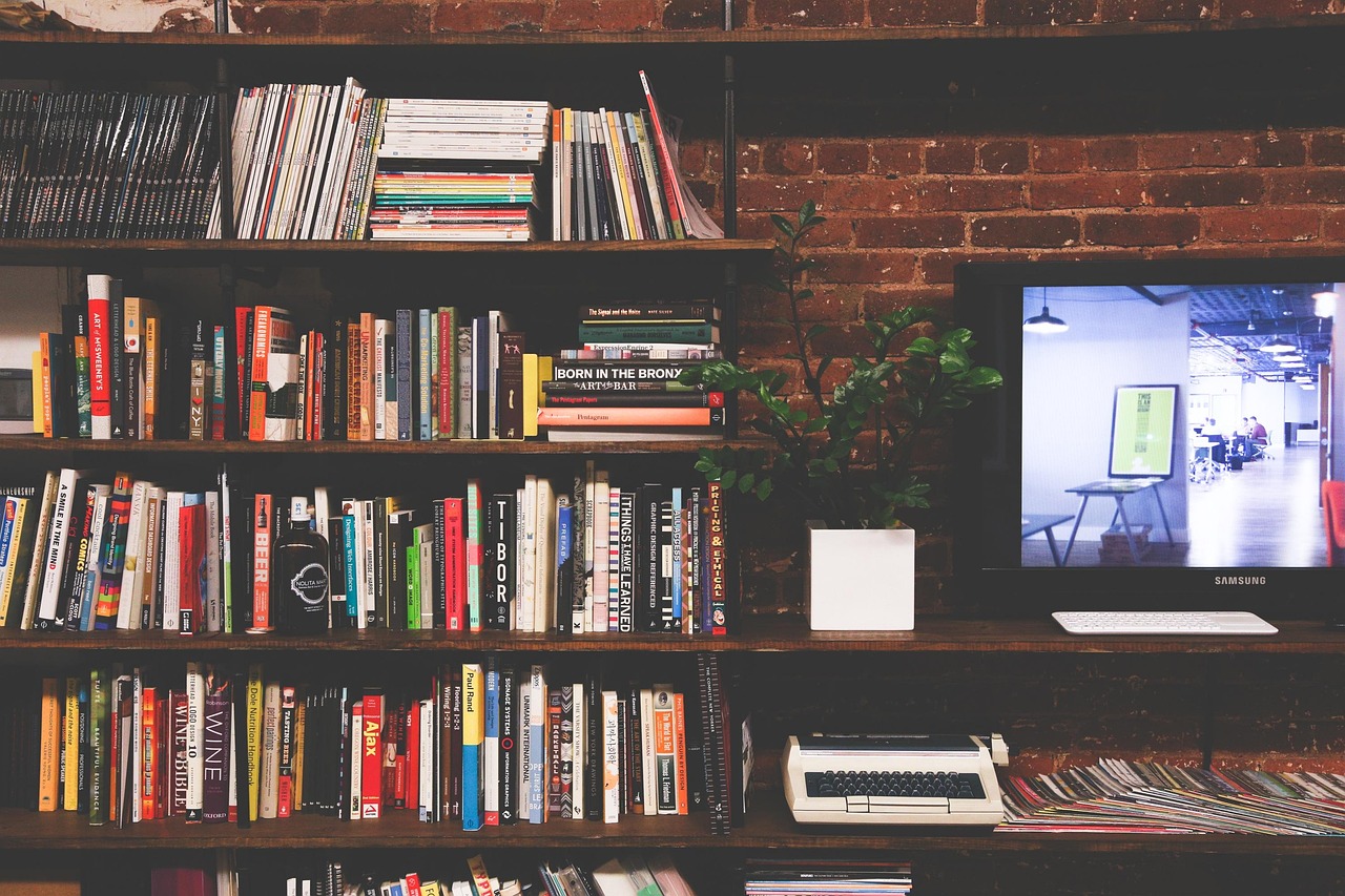 library, books, tv, multimedia, room, modern, interior, education, bookshelves, shelves, literature, knowledge, read, wisdom, reading, living room, library, library, library, room, room, room, room, r