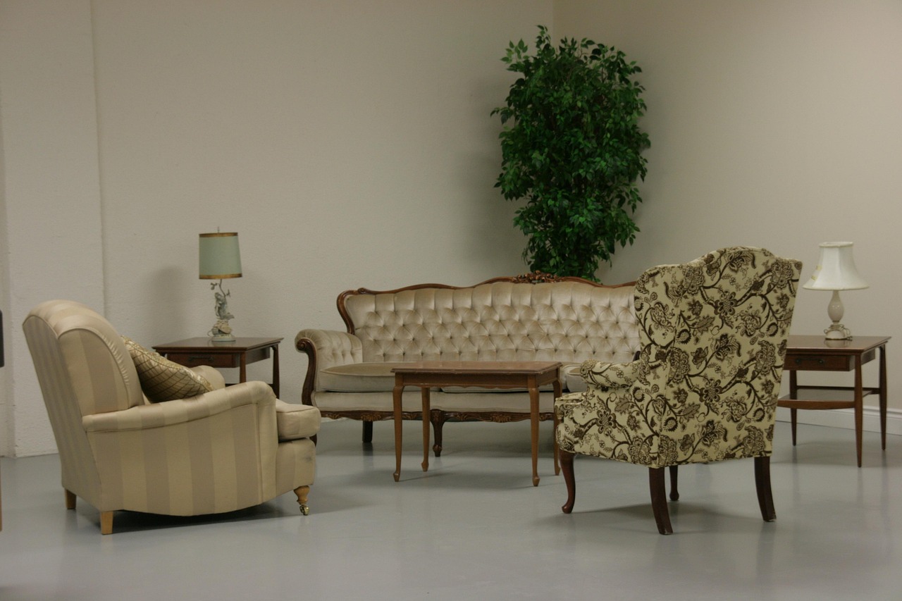 living room, interior, homes, houses, buildings, decorative, arrangements, arranged, white, walls, nature, sofa, furniture, lamps, green, plants, indoor, interior design, decoration, clean, neat, tidy
