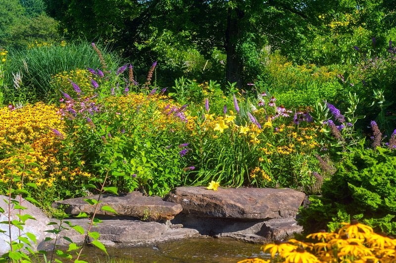 Low Maintenance Landscaping: Butterfly Garden - Sponzilli Landscape Group