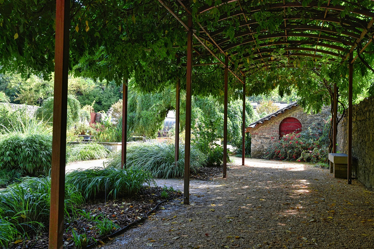 pergola, arbor, nature, garden, plants, shadow, gravel