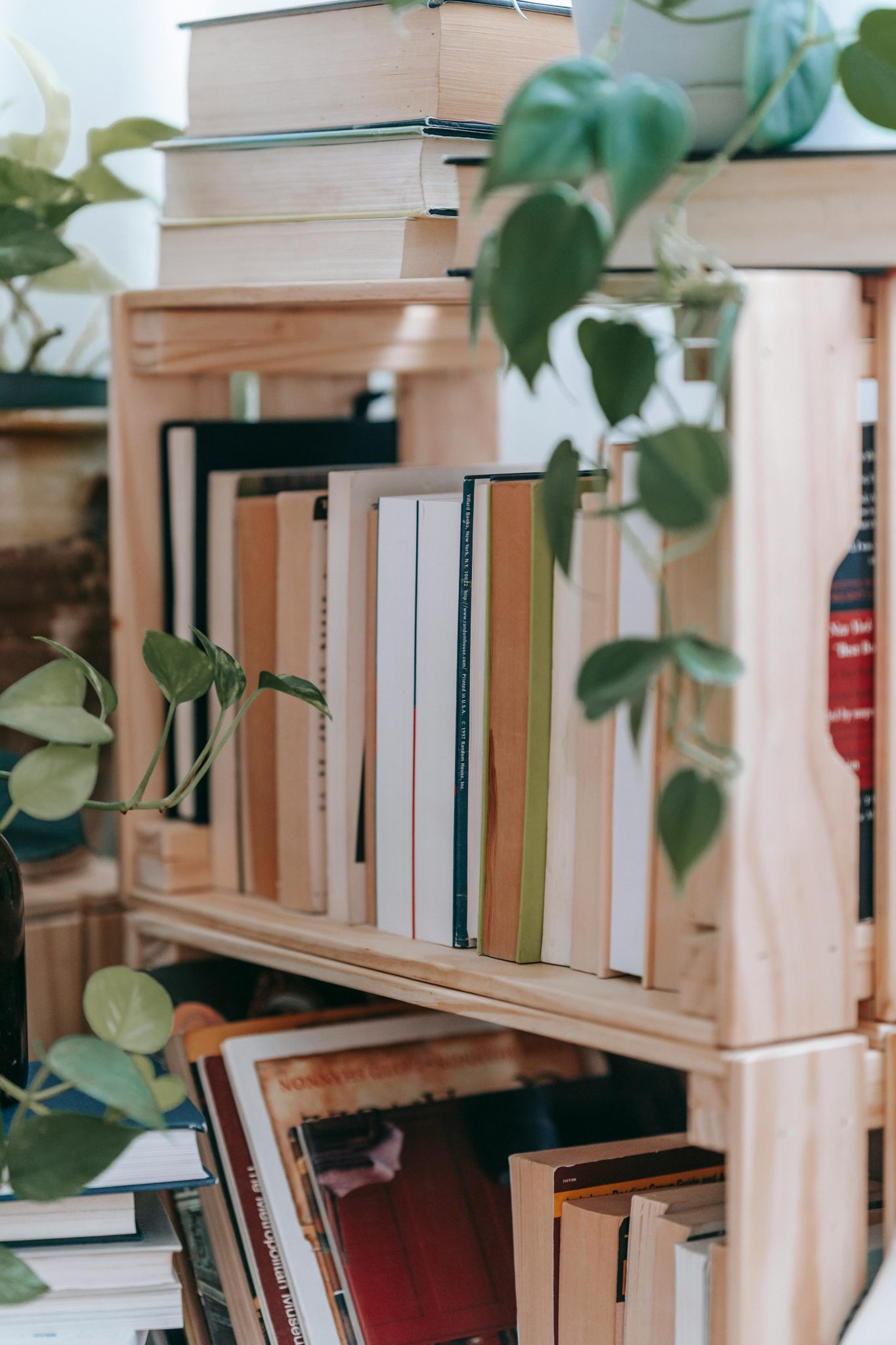 Pile of different books placed on wooden shelves decorated with plant in light room