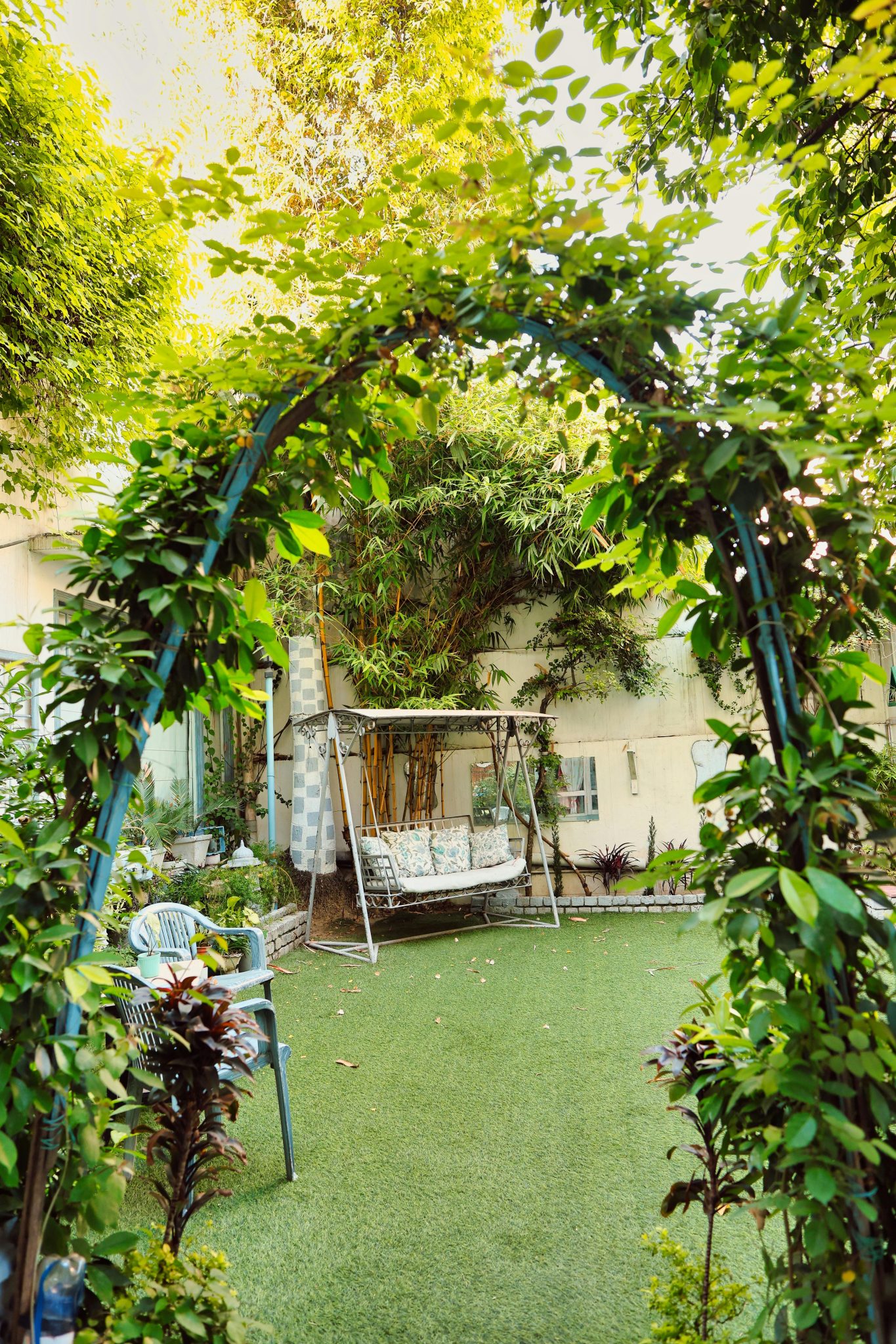 Serene backyard garden featuring a leafy archway and cozy swing, perfect for relaxation.