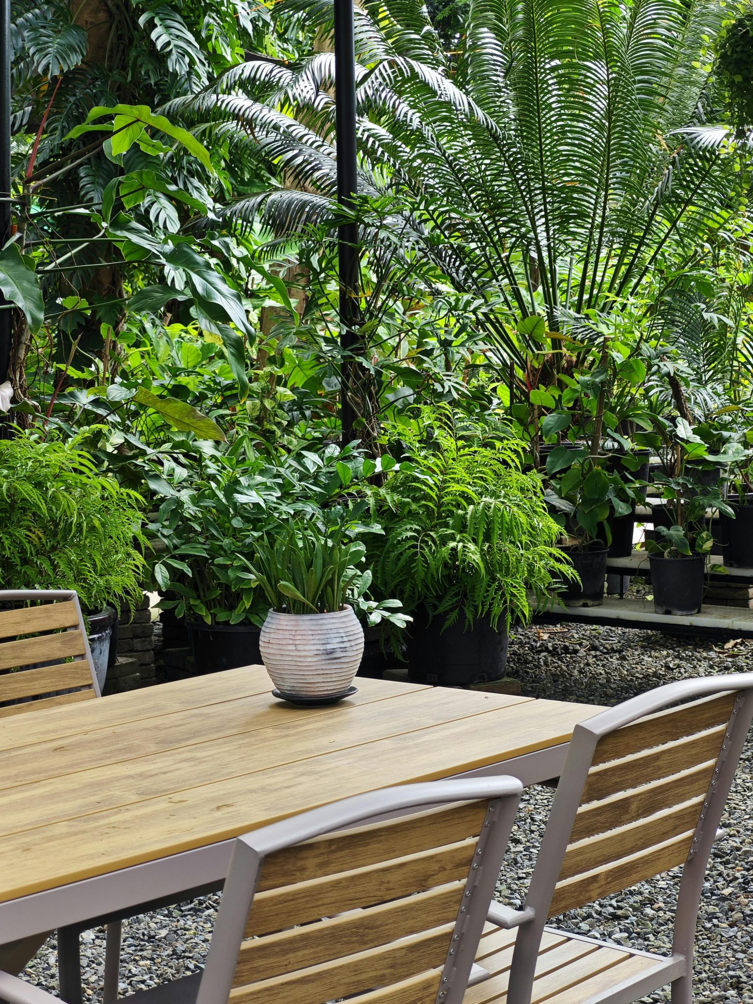 Serene garden patio with wooden table and vibrant green plants, perfect for relaxation.