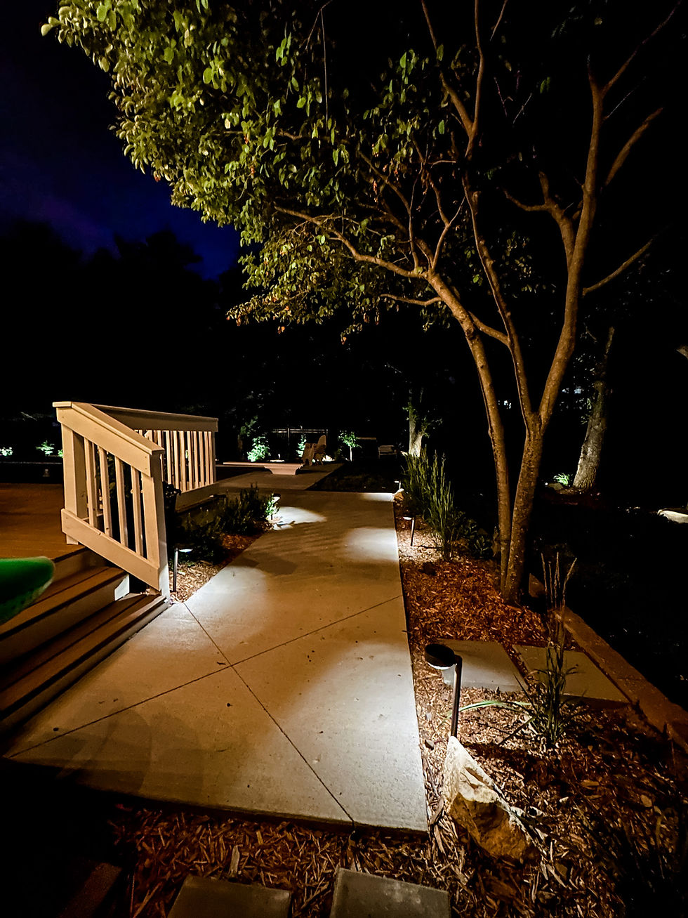 Solar Landscape Lighting for the Backyard Patio and Plant Beds