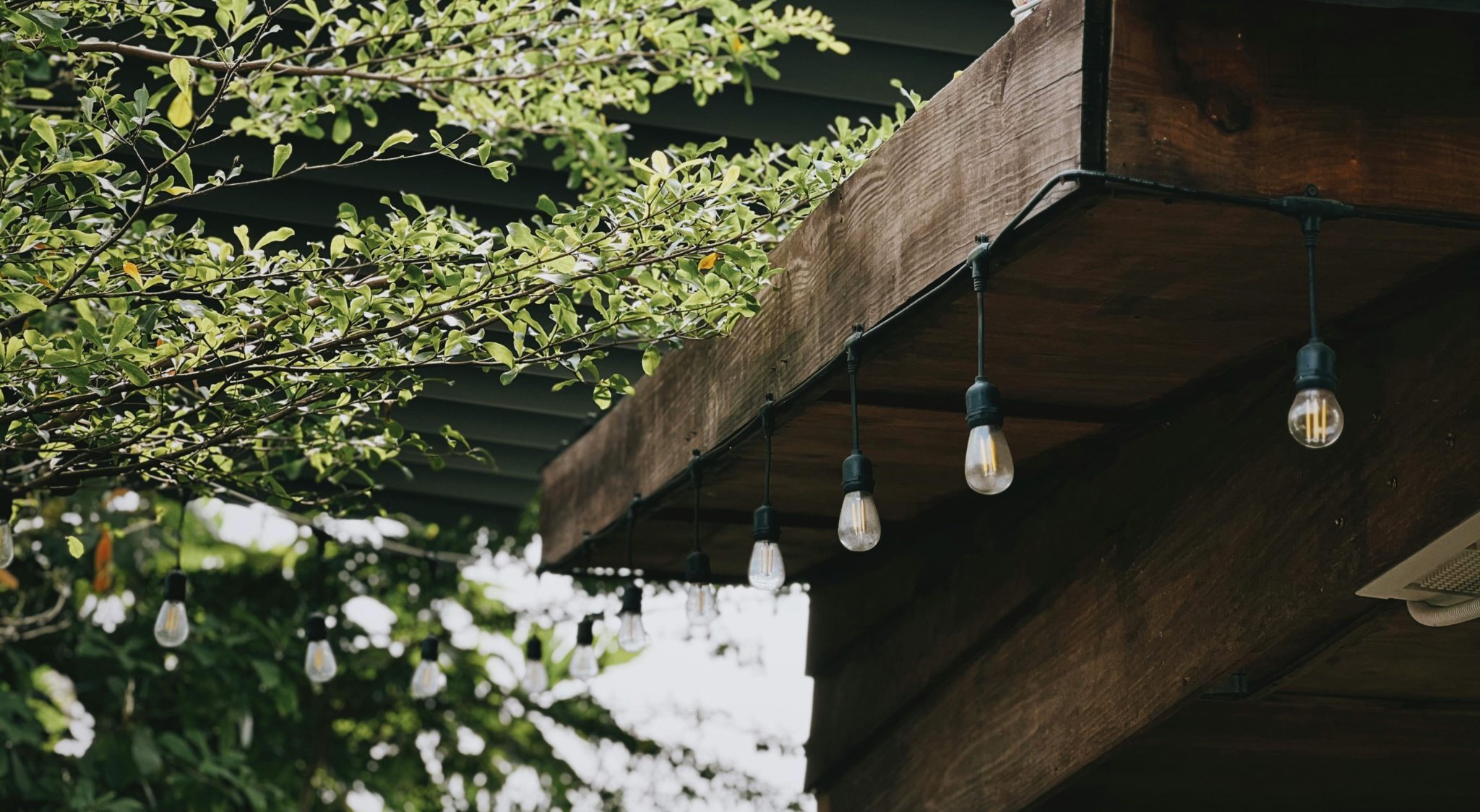 String lights adorn a wooden pergola surrounded by greenery in a serene Vietnam setting.