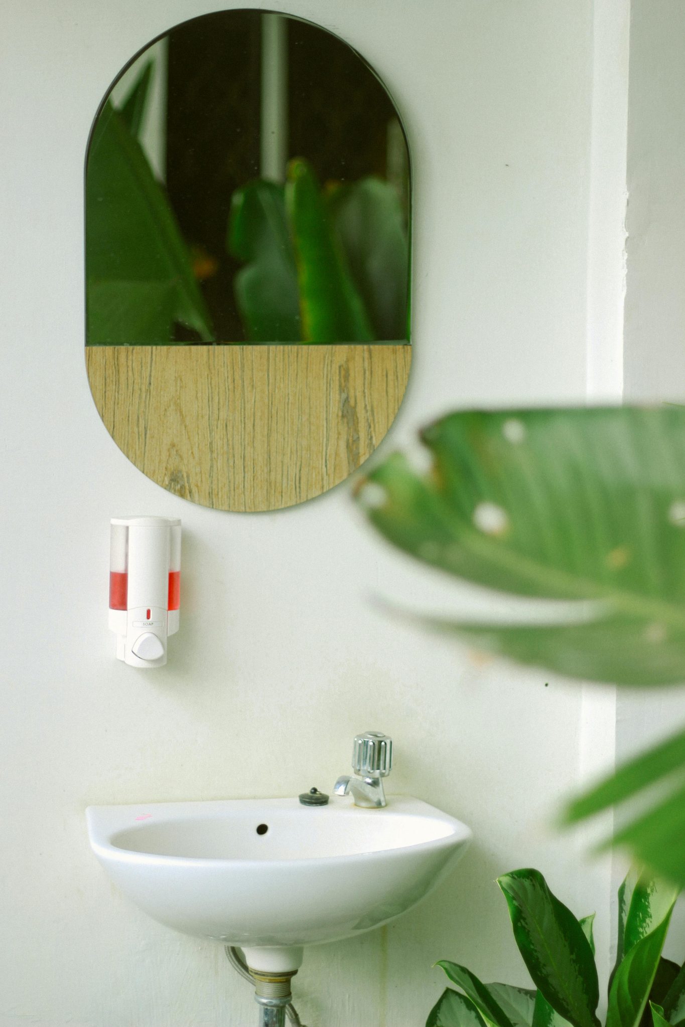 Stylish bathroom featuring a sleek sink, mirror, and greenery for a fresh vibe.