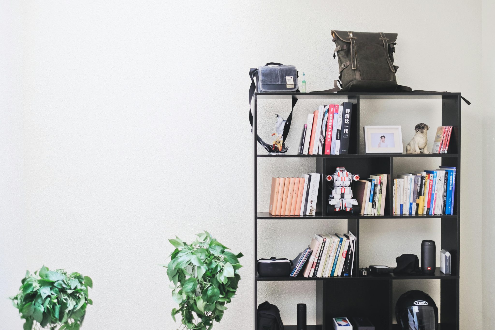 Stylish interior featuring a modern bookshelf with books, decor, and potted plants against a neutral background.