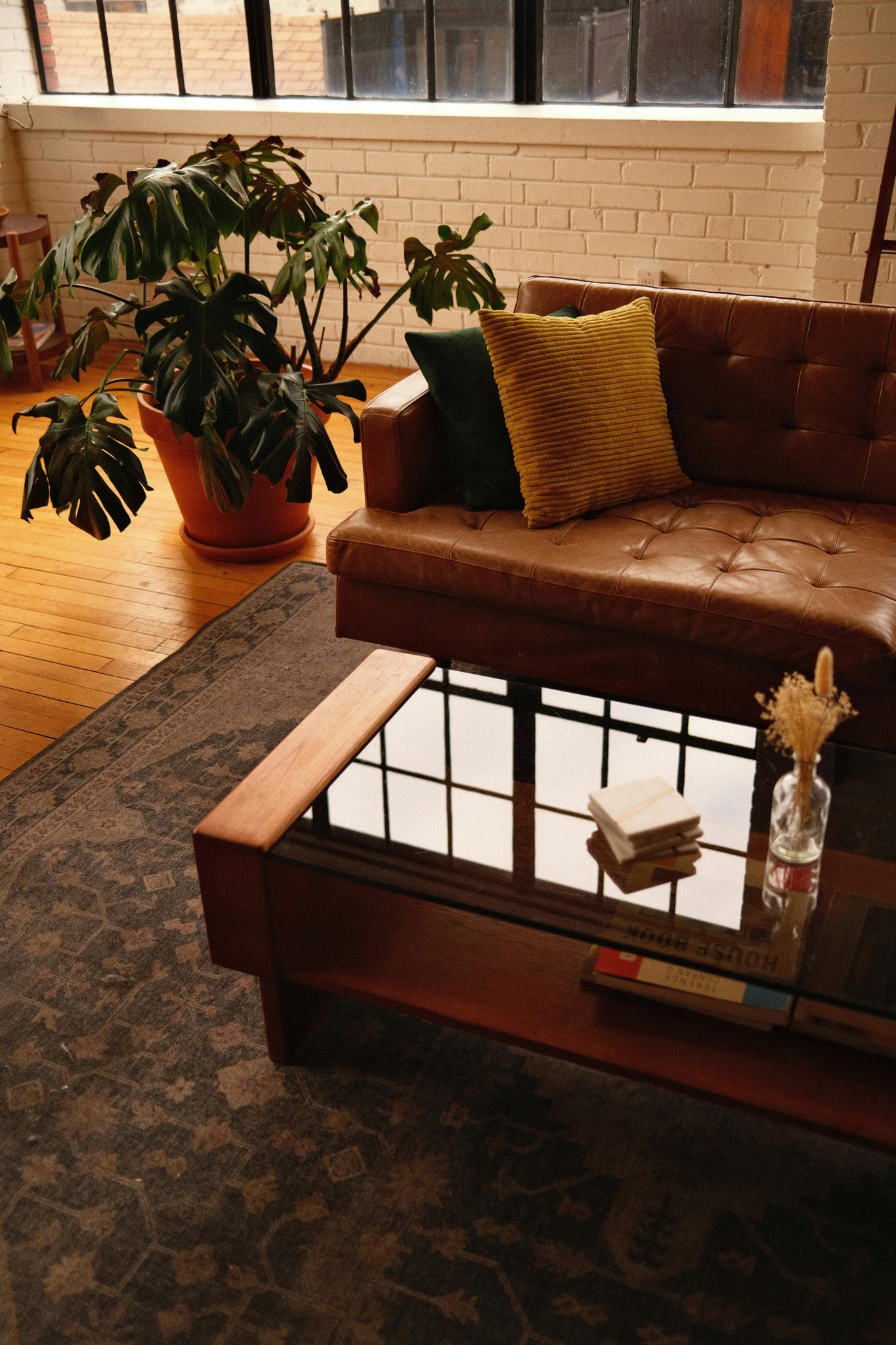 Stylish living room featuring a leather sofa, lush houseplant, and a coffee table with modern decor.